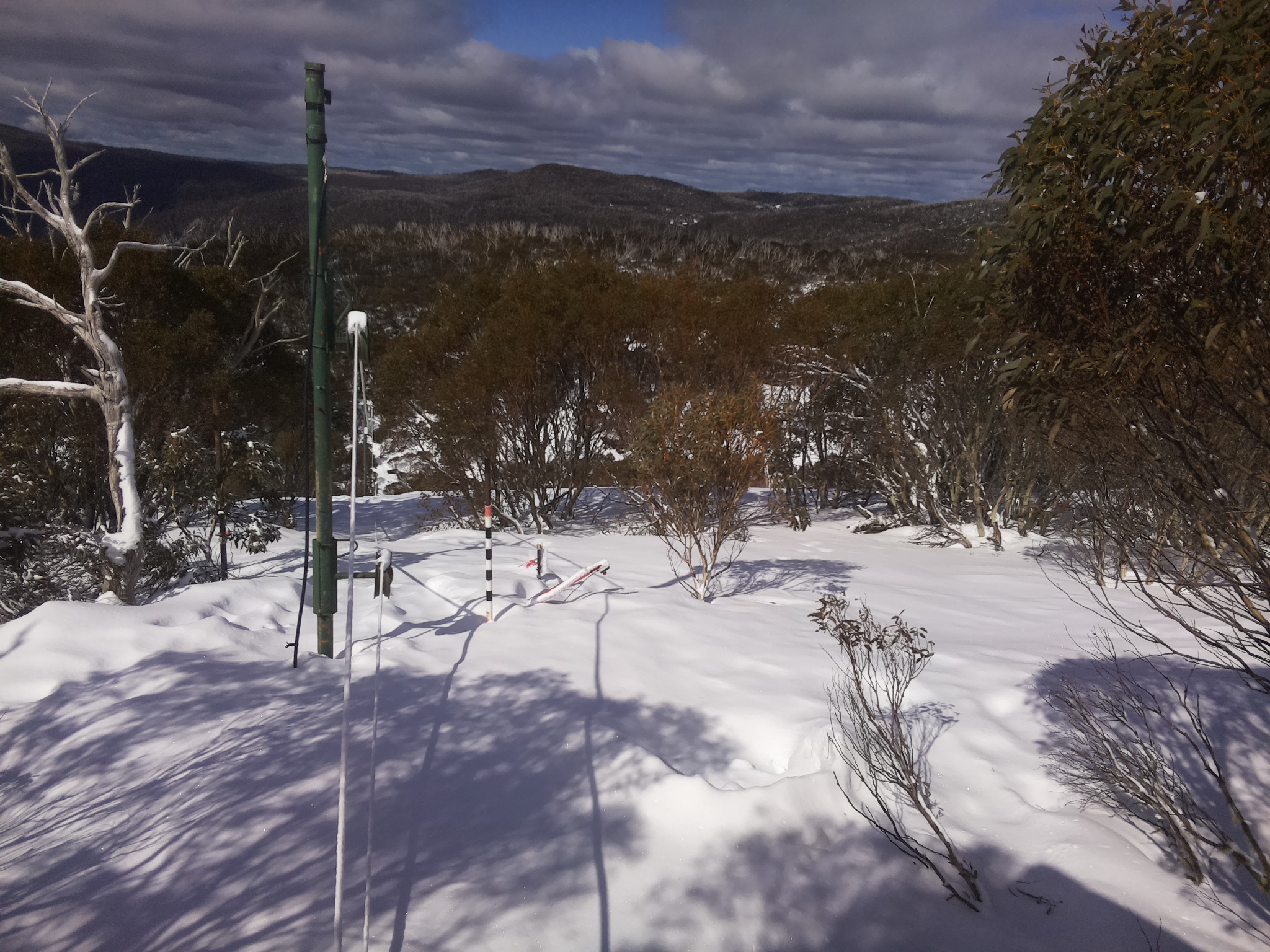 Bogong Web Cam 11:40am Sunday 17th of August 2025