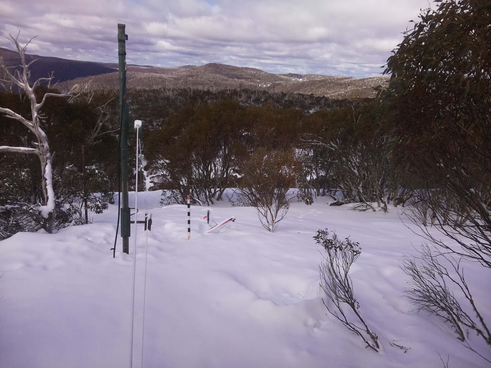 Bogong Web Cam 12:00pm Sunday 17th of August 2025