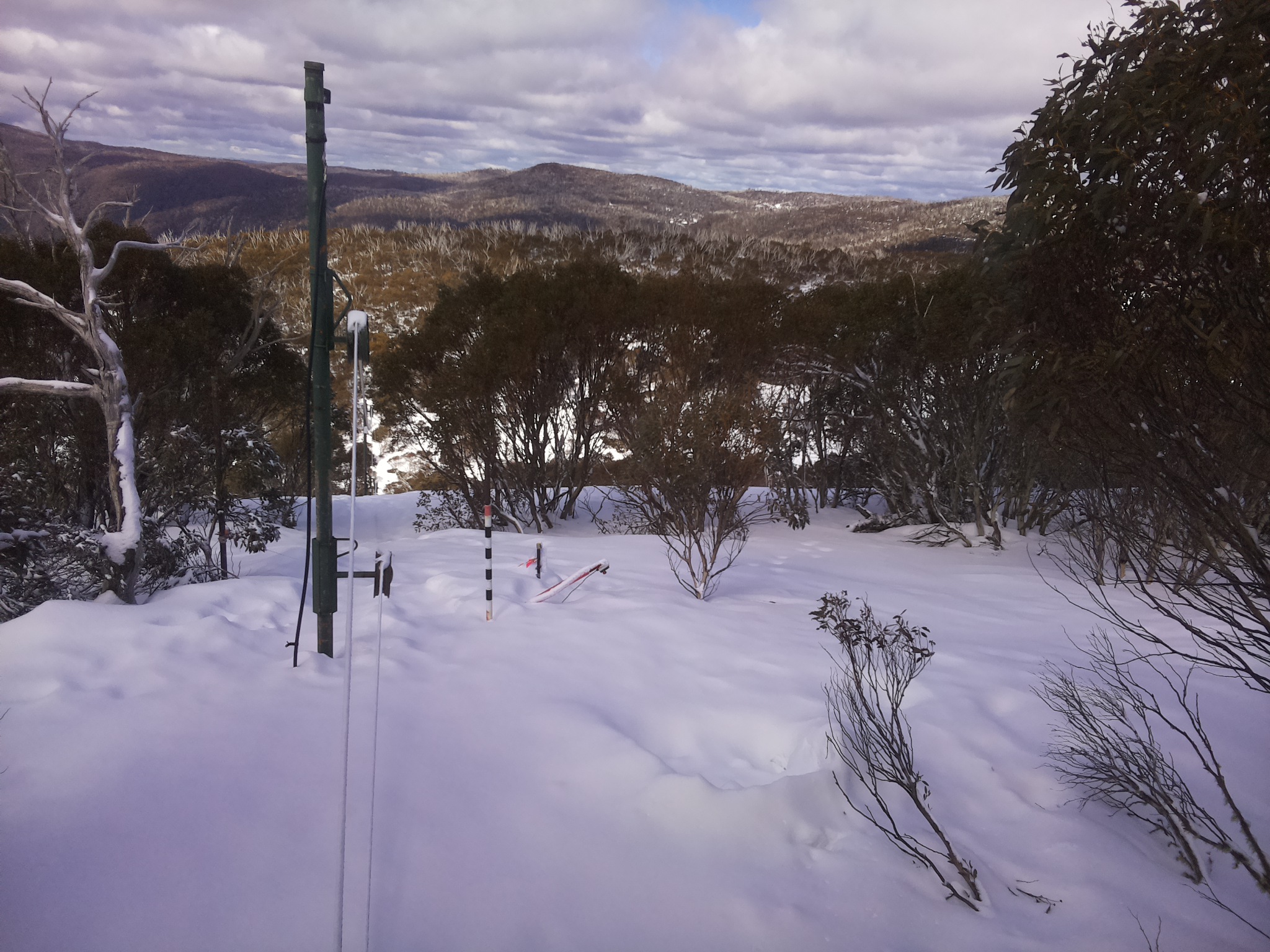 Bogong Web Cam 12:10pm Sunday 17th of August 2025