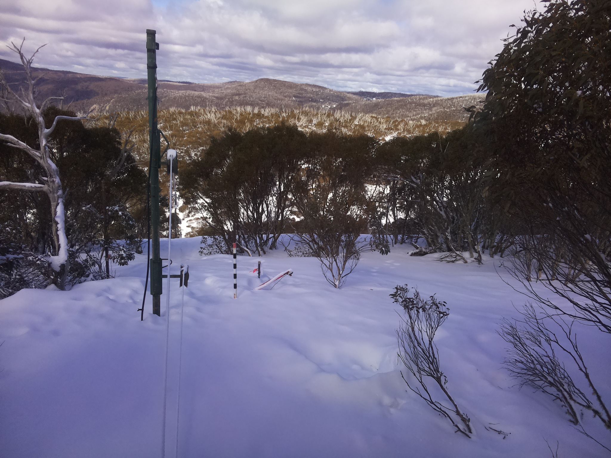 Bogong Web Cam 12:20pm Sunday 17th of August 2025
