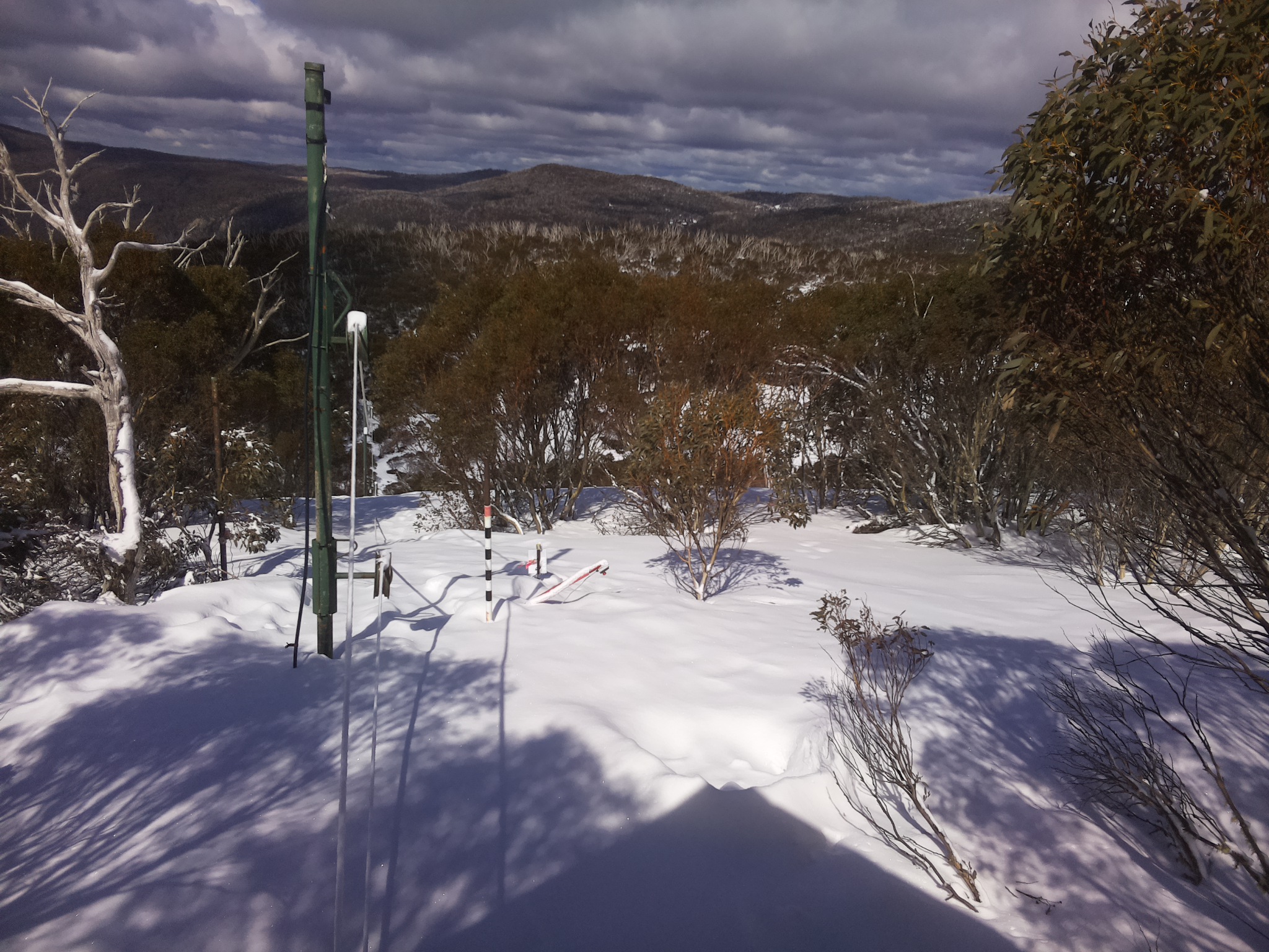 Bogong Web Cam 12:40pm Sunday 17th of August 2025