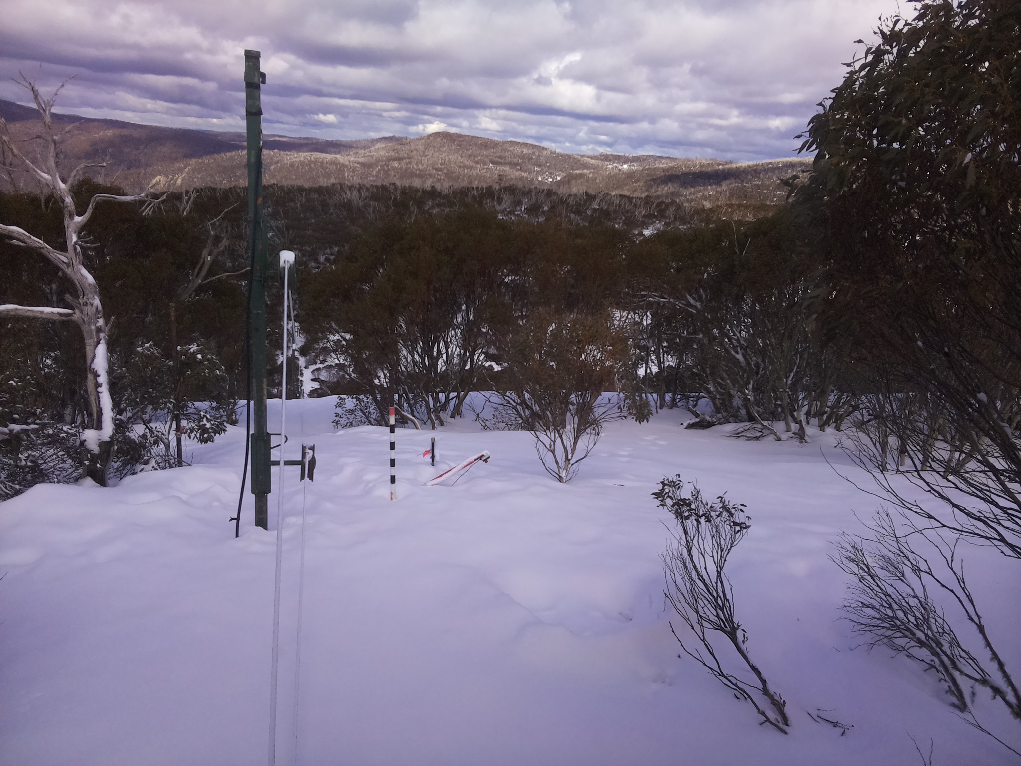 Bogong Web Cam 1:20pm Sunday 17th of August 2025