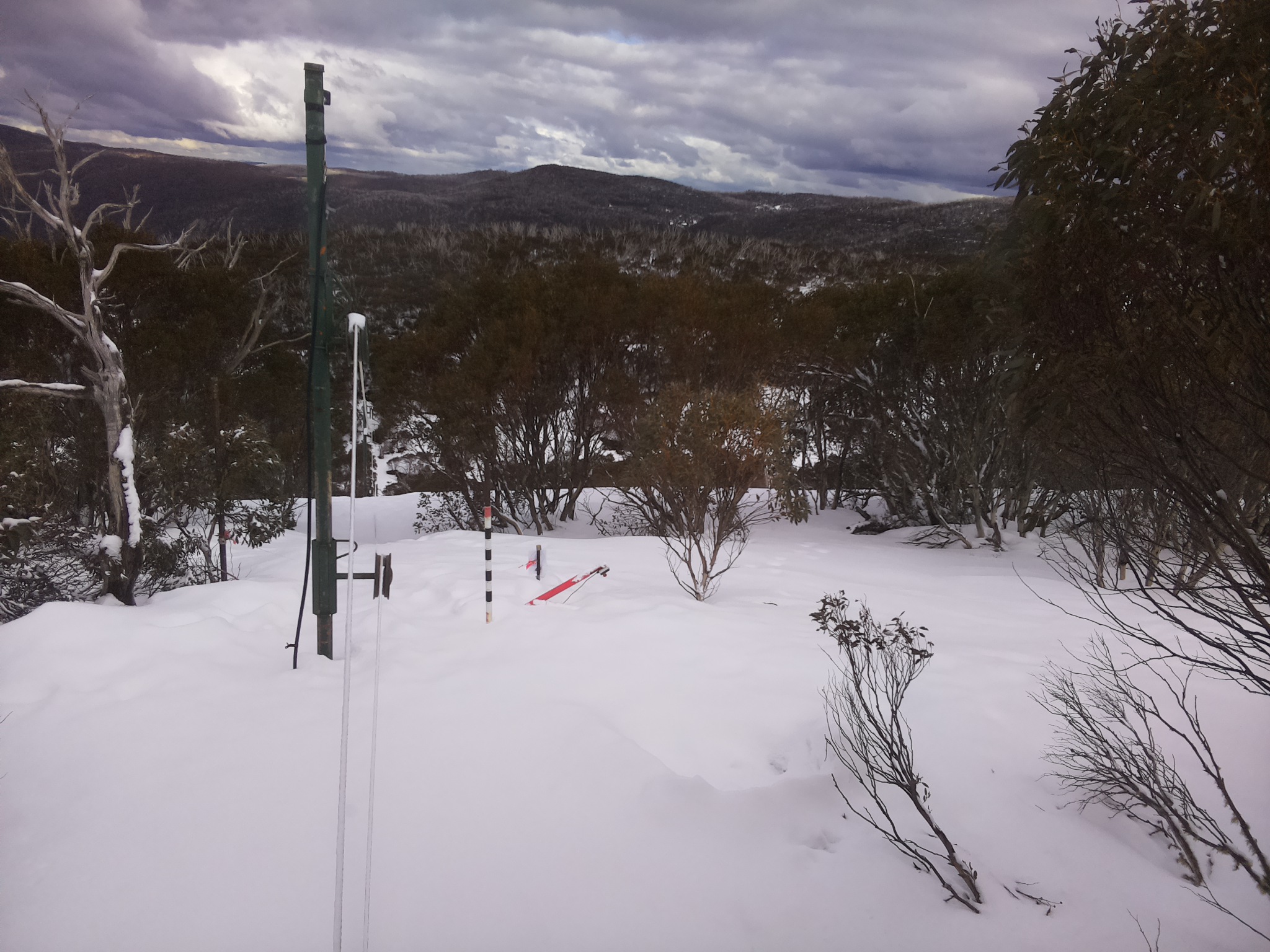 Bogong Web Cam 2:40pm Sunday 17th of August 2025