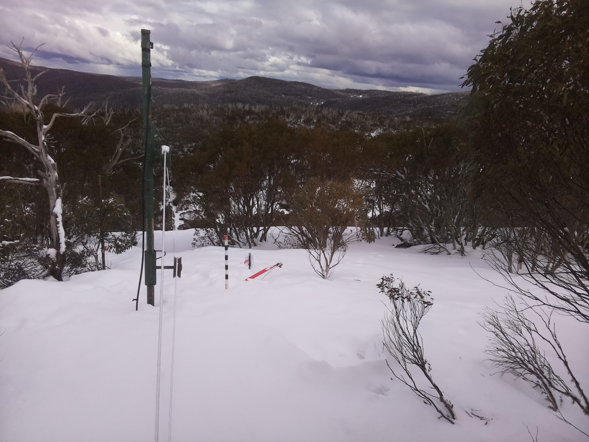 Bogong Web Cam 2:50pm Sunday 17th of August 2025