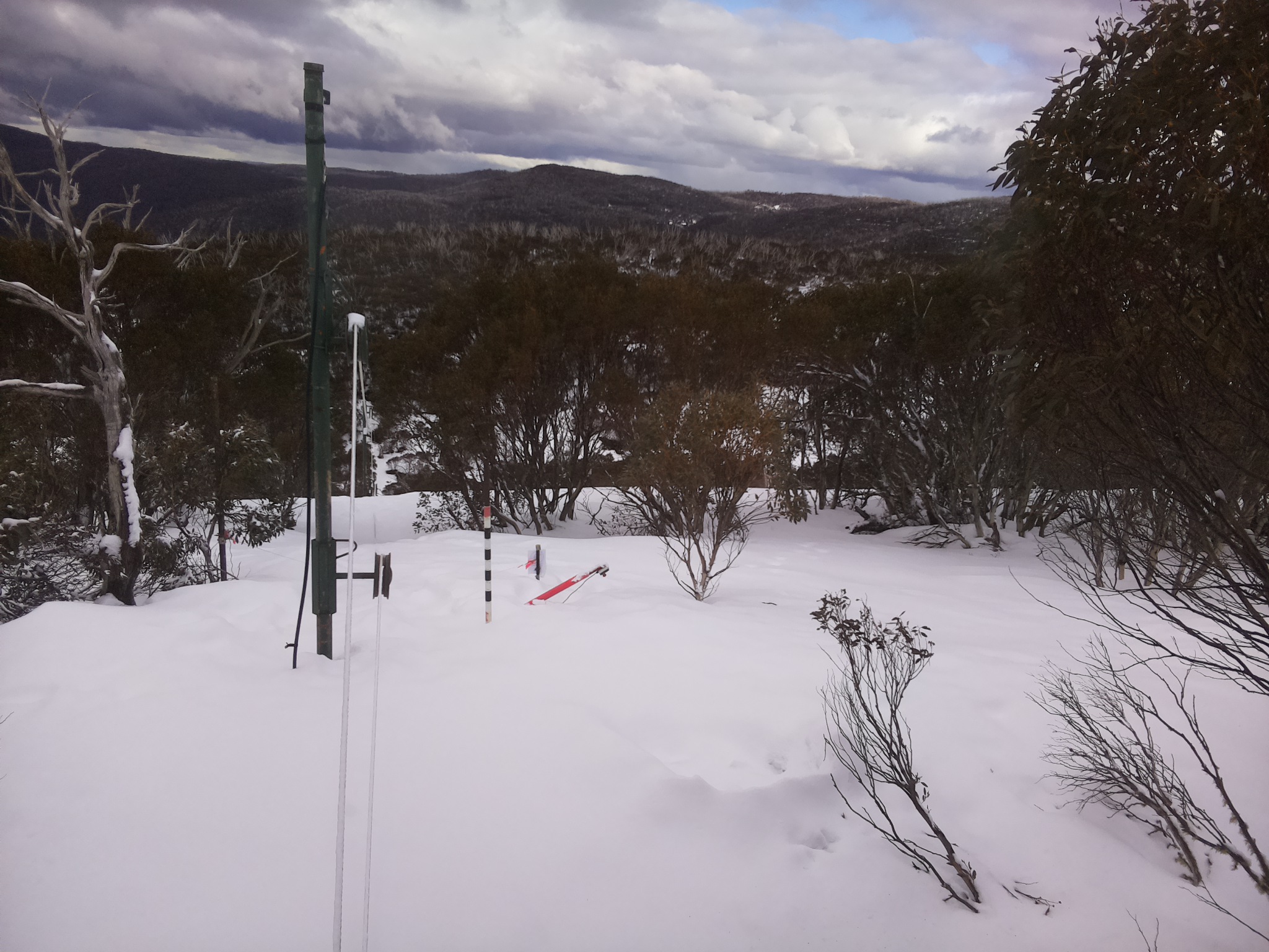 Bogong Web Cam 3:20pm Sunday 17th of August 2025