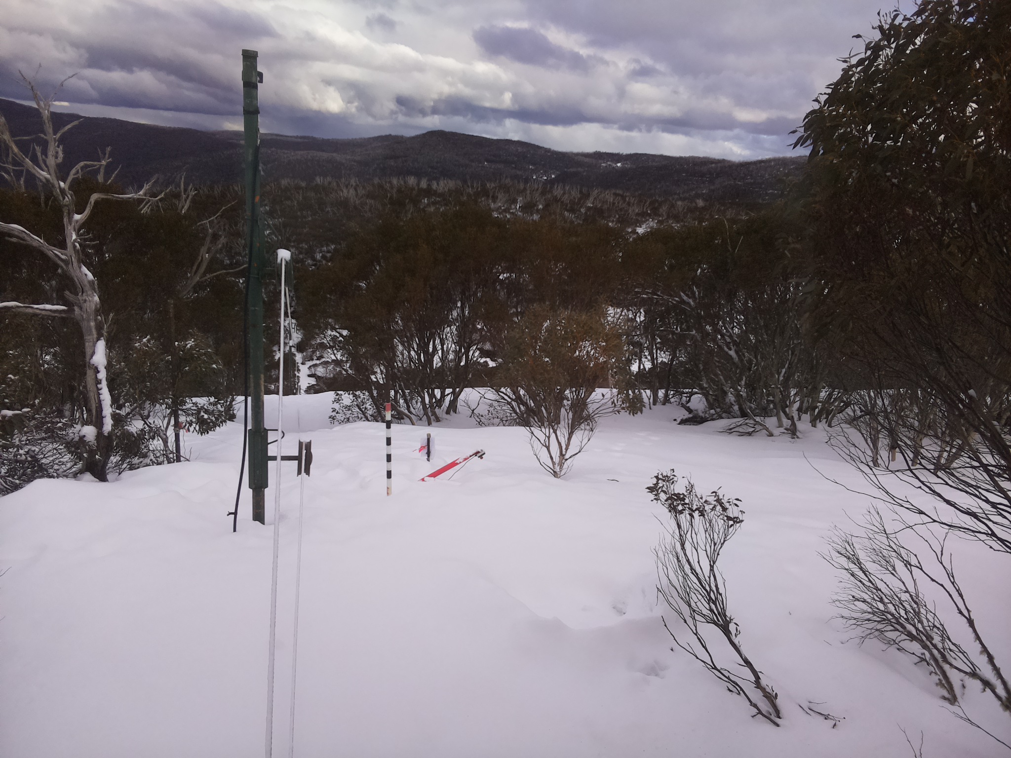 Bogong Web Cam 3:40pm Sunday 17th of August 2025