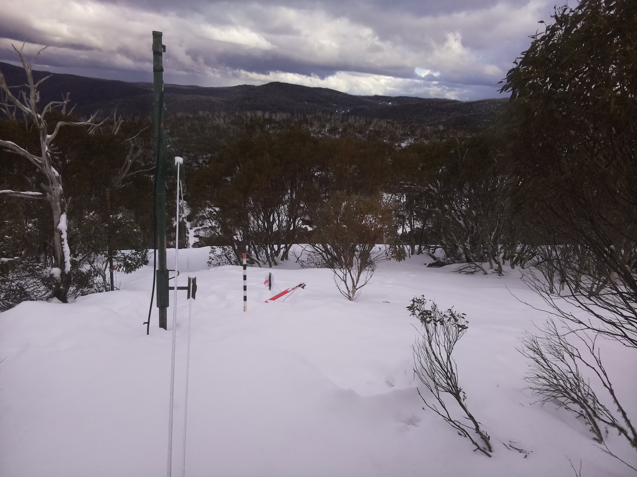 Bogong Web Cam 3:50pm Sunday 17th of August 2025