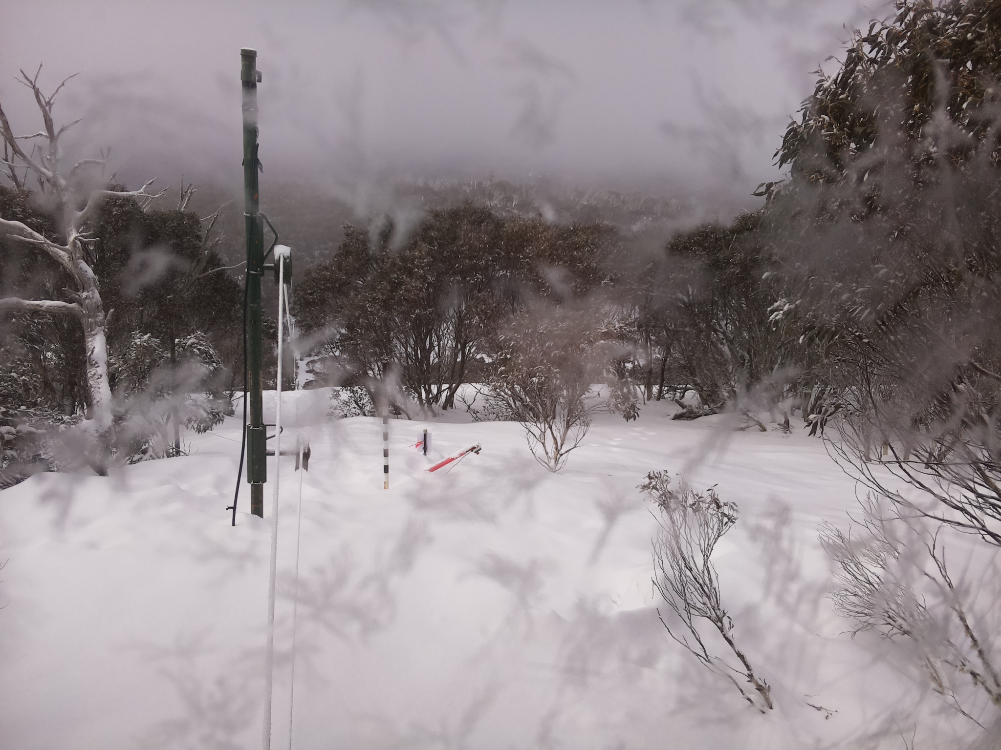Bogong Web Cam 9:00am Monday 18th of August 2025