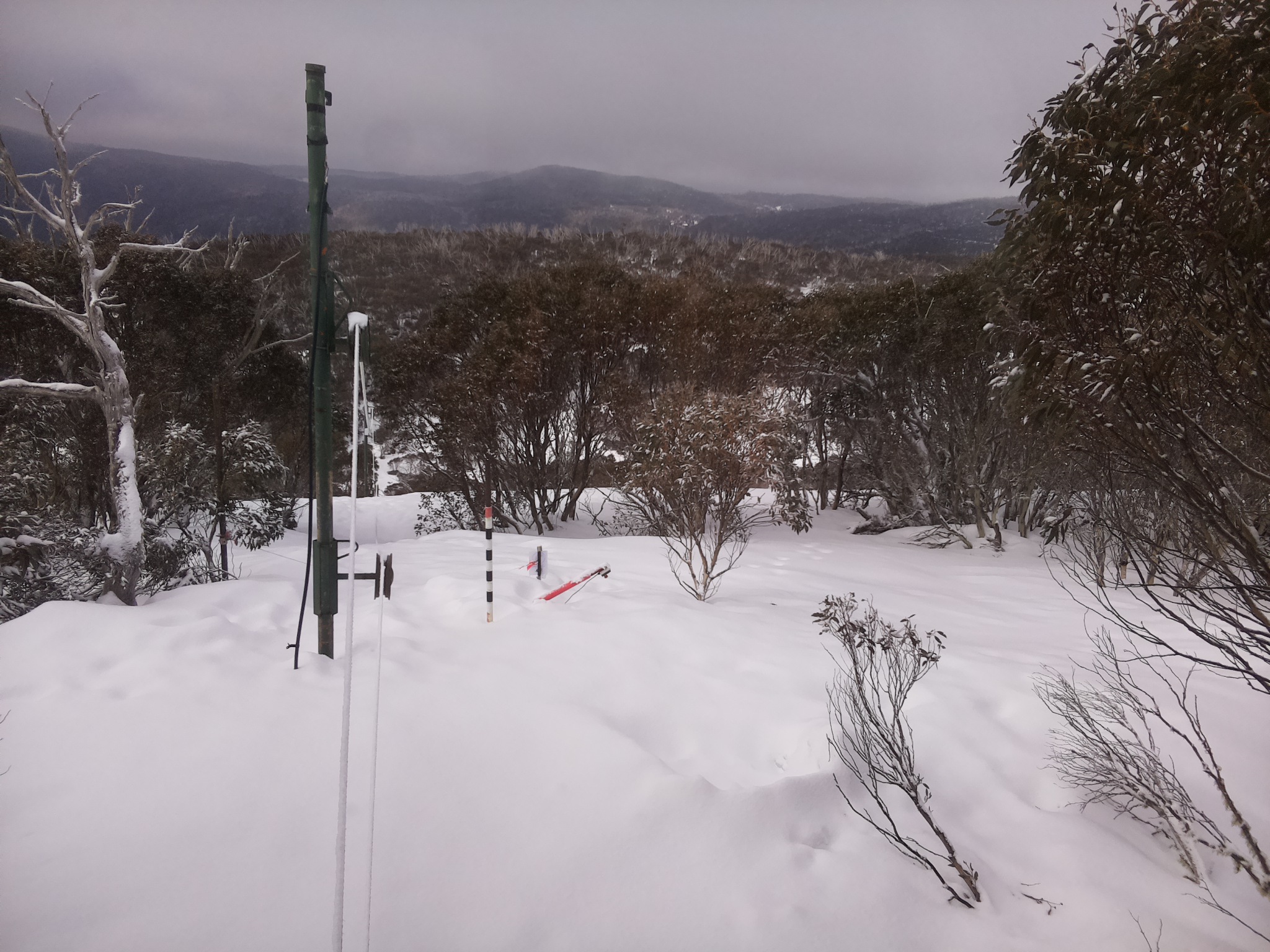 Bogong Web Cam 10:00am Monday 18th of August 2025
