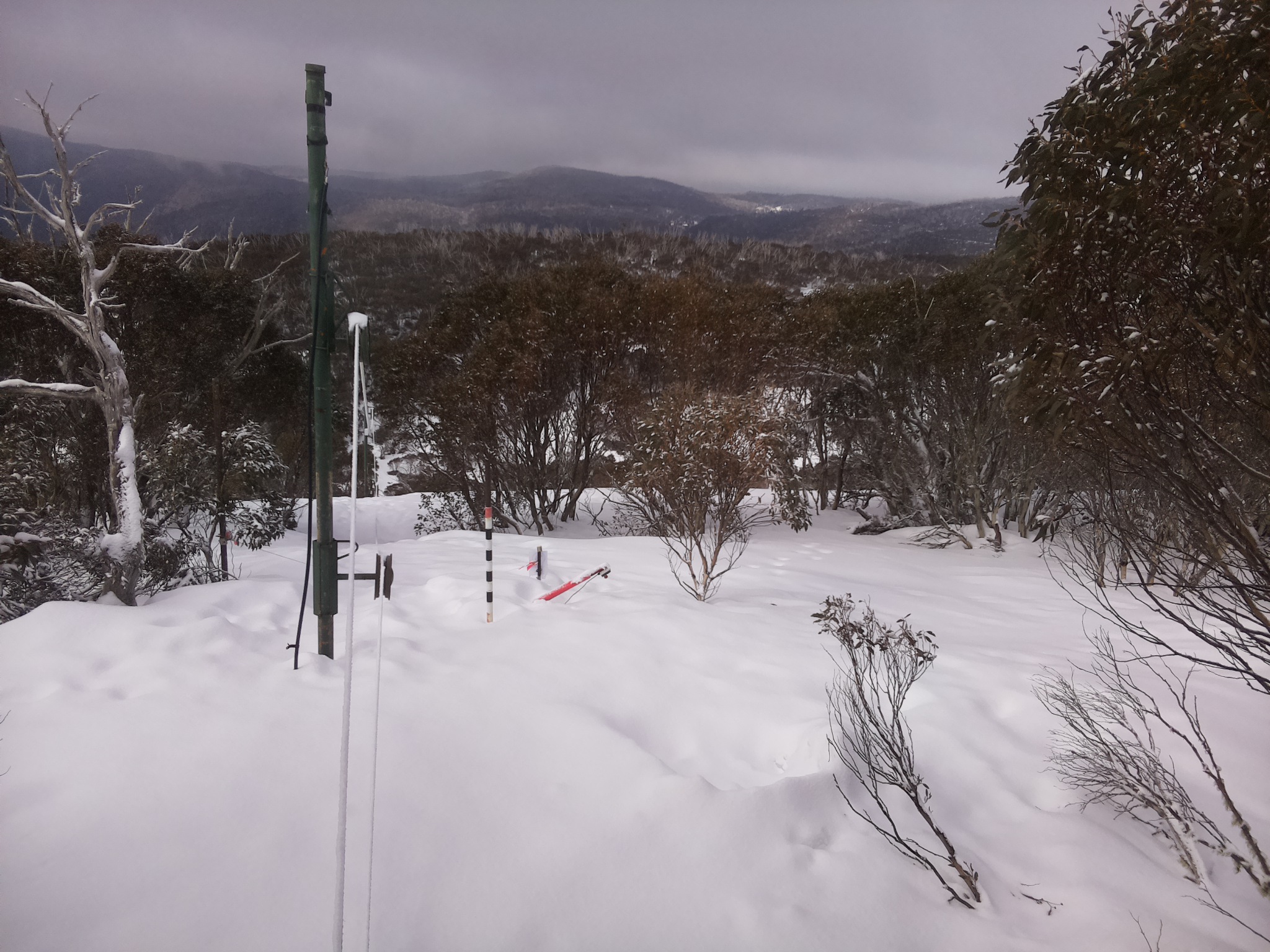 Bogong Web Cam 10:20am Monday 18th of August 2025