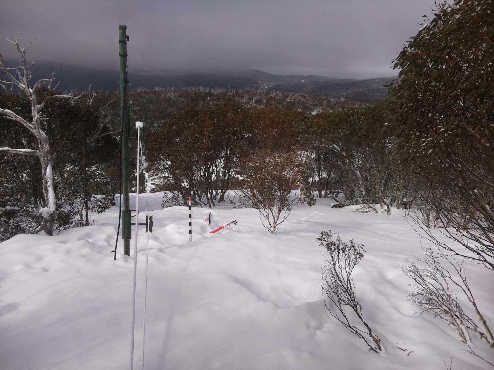 Bogong Web Cam 10:40am Monday 18th of August 2025