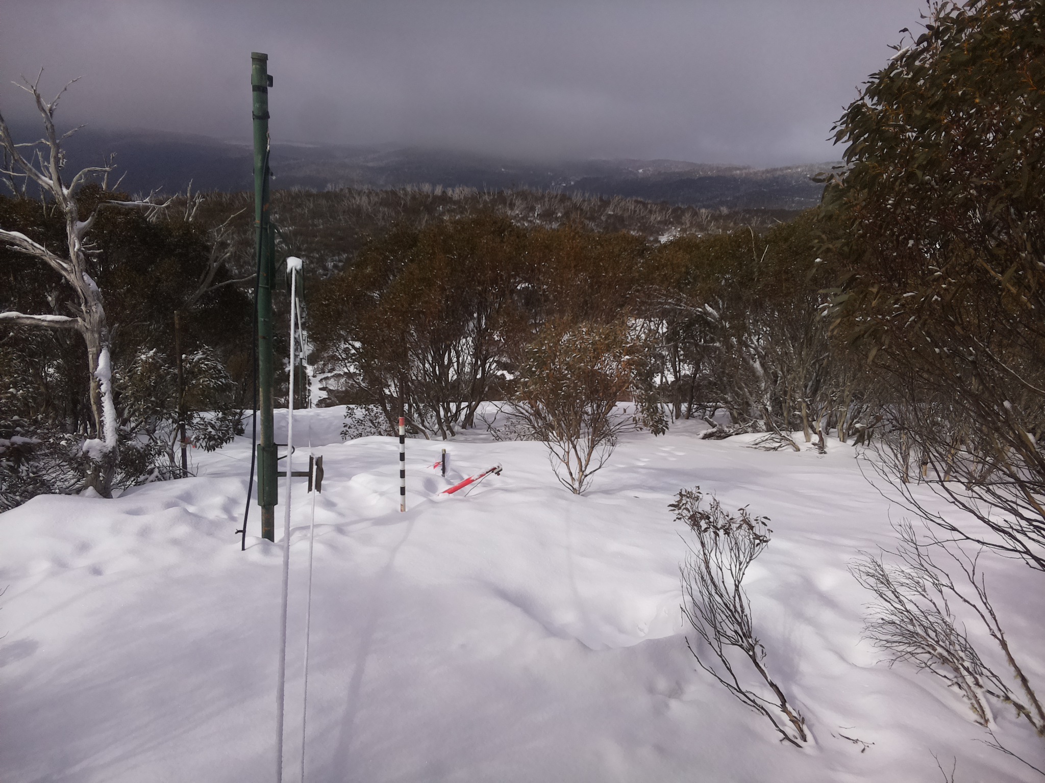 Bogong Web Cam 10:50am Monday 18th of August 2025