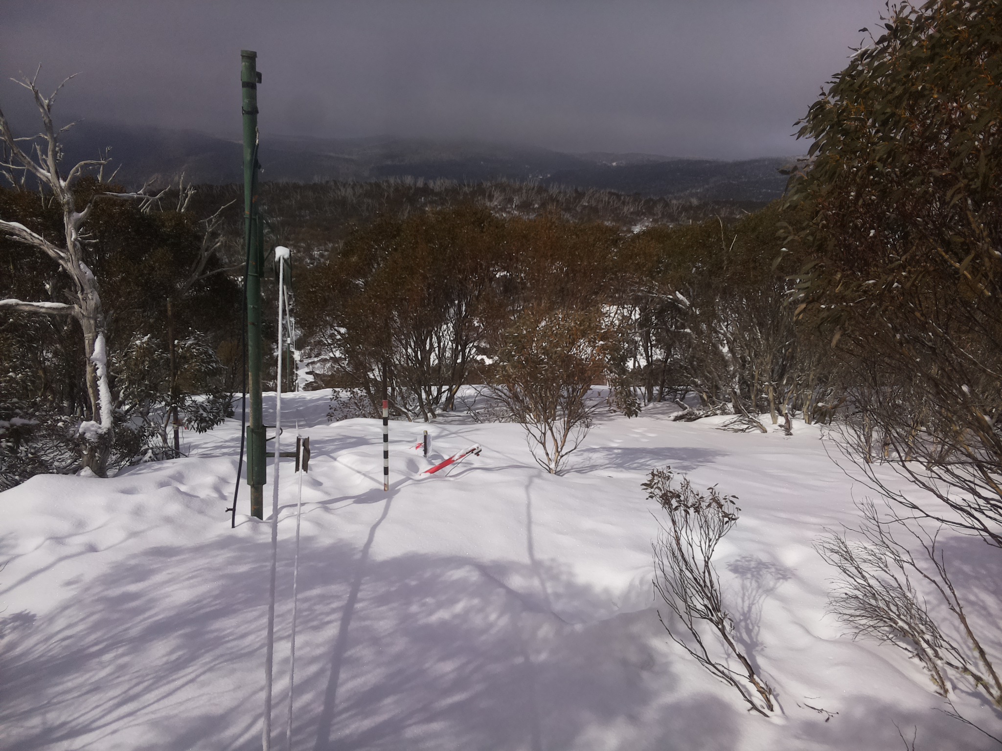 Bogong Web Cam 11:00am Monday 18th of August 2025