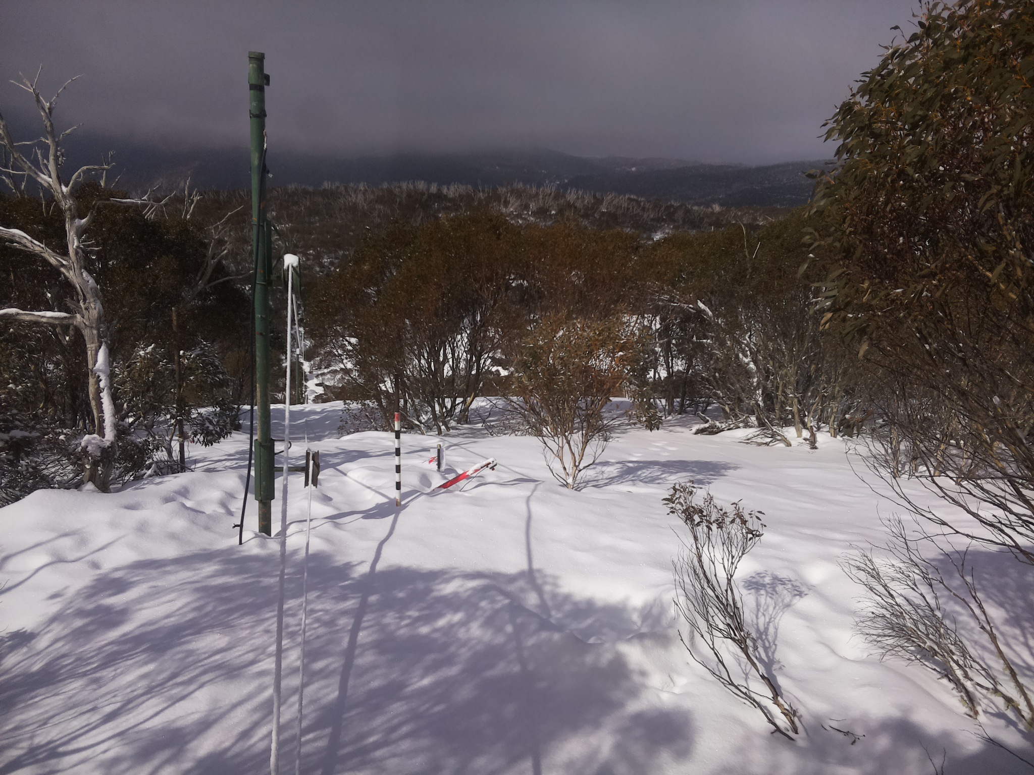 Bogong Web Cam 11:10am Monday 18th of August 2025