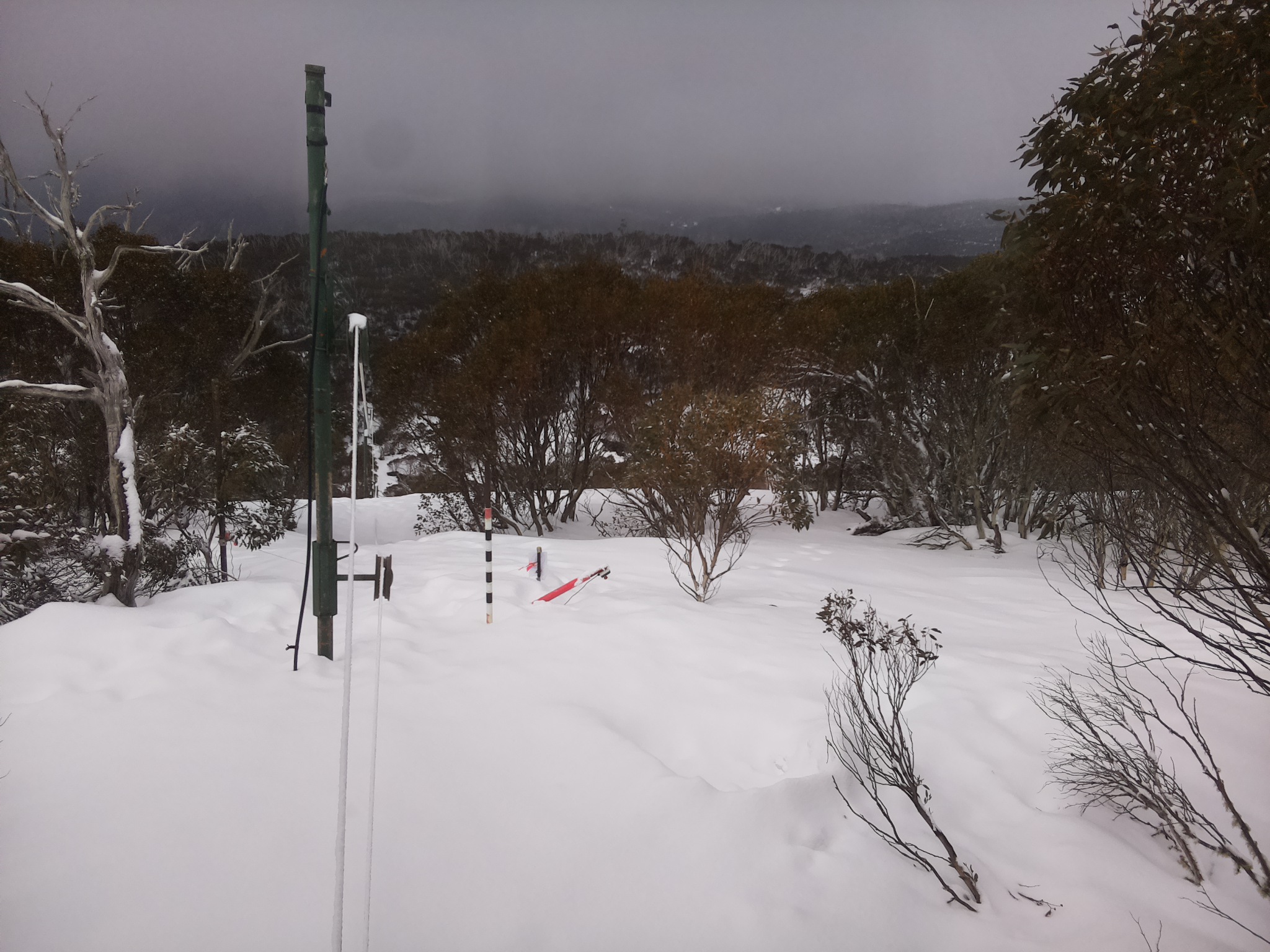 Bogong Web Cam 11:30am Monday 18th of August 2025