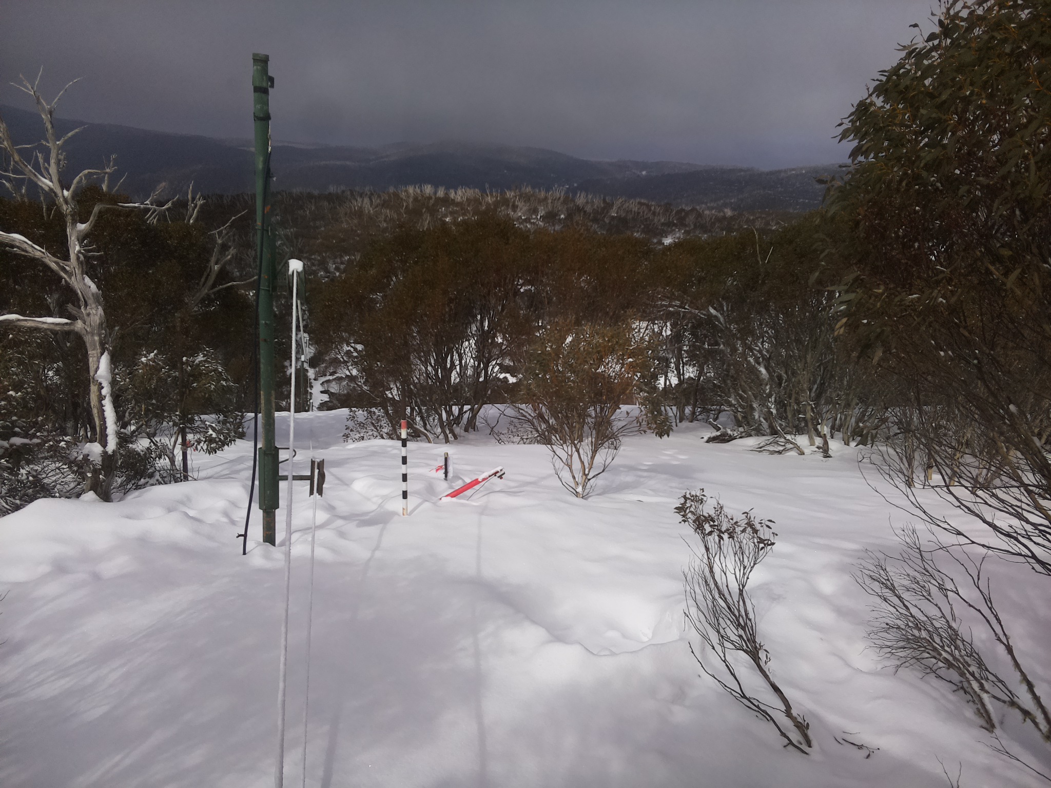 Bogong Web Cam 11:50am Monday 18th of August 2025