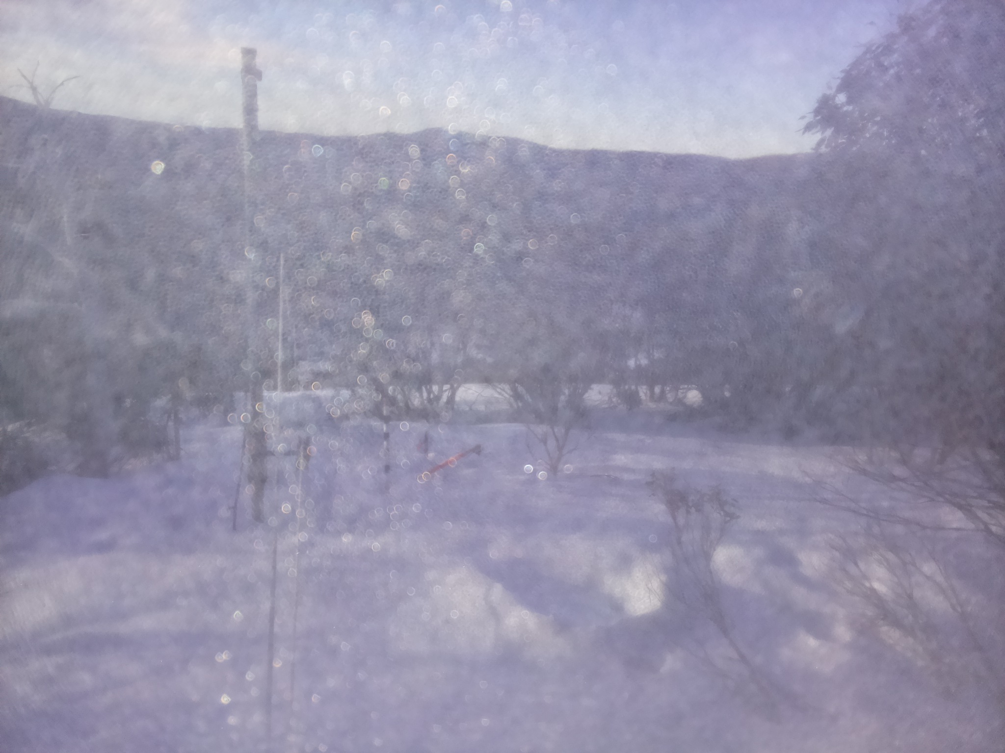 Bogong Web Cam 8:00am Thursday 21st of August 2025