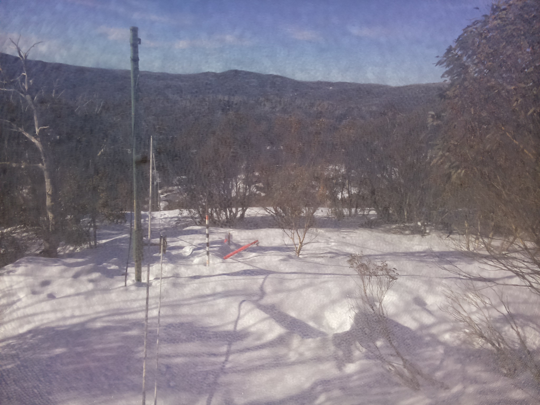 Bogong Web Cam 8:50am Thursday 21st of August 2025