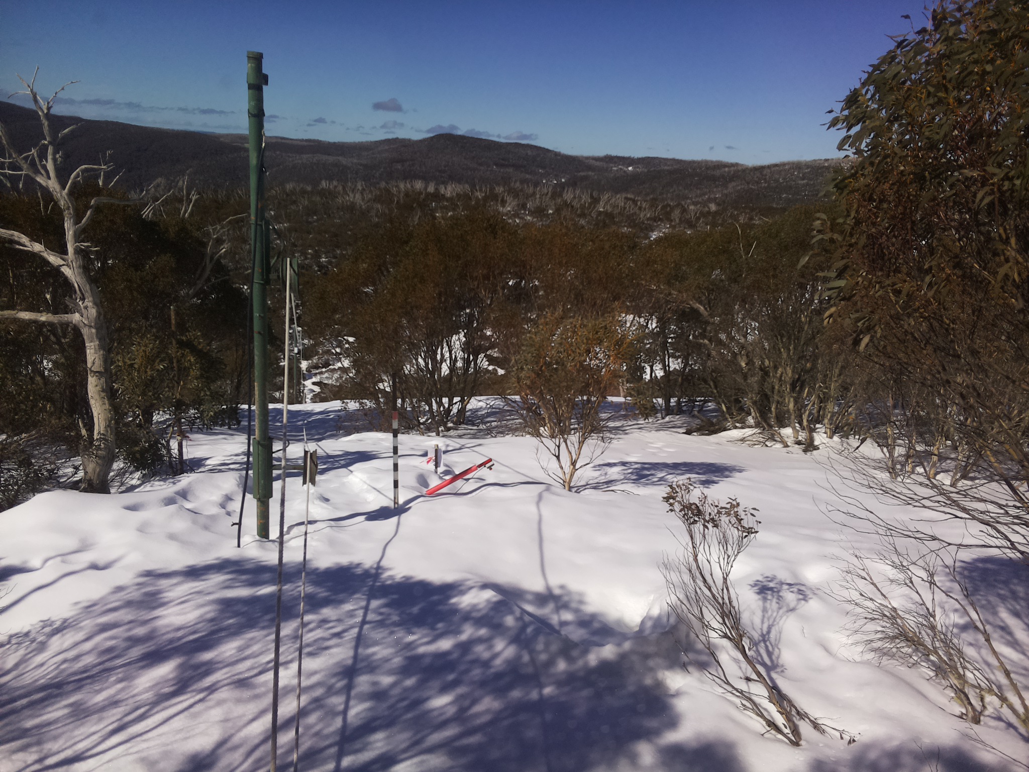 Bogong Web Cam 11:00am Thursday 21st of August 2025