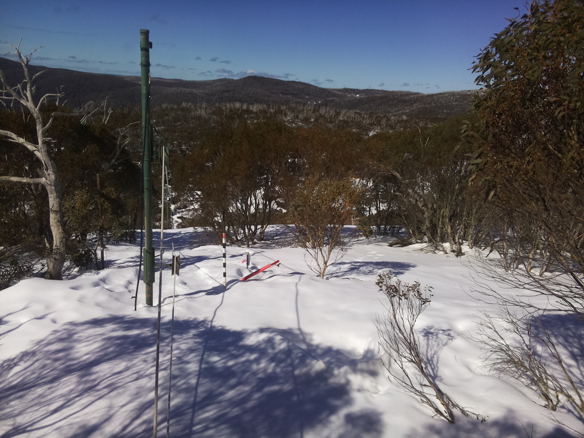 Bogong Web Cam 11:10am Thursday 21st of August 2025