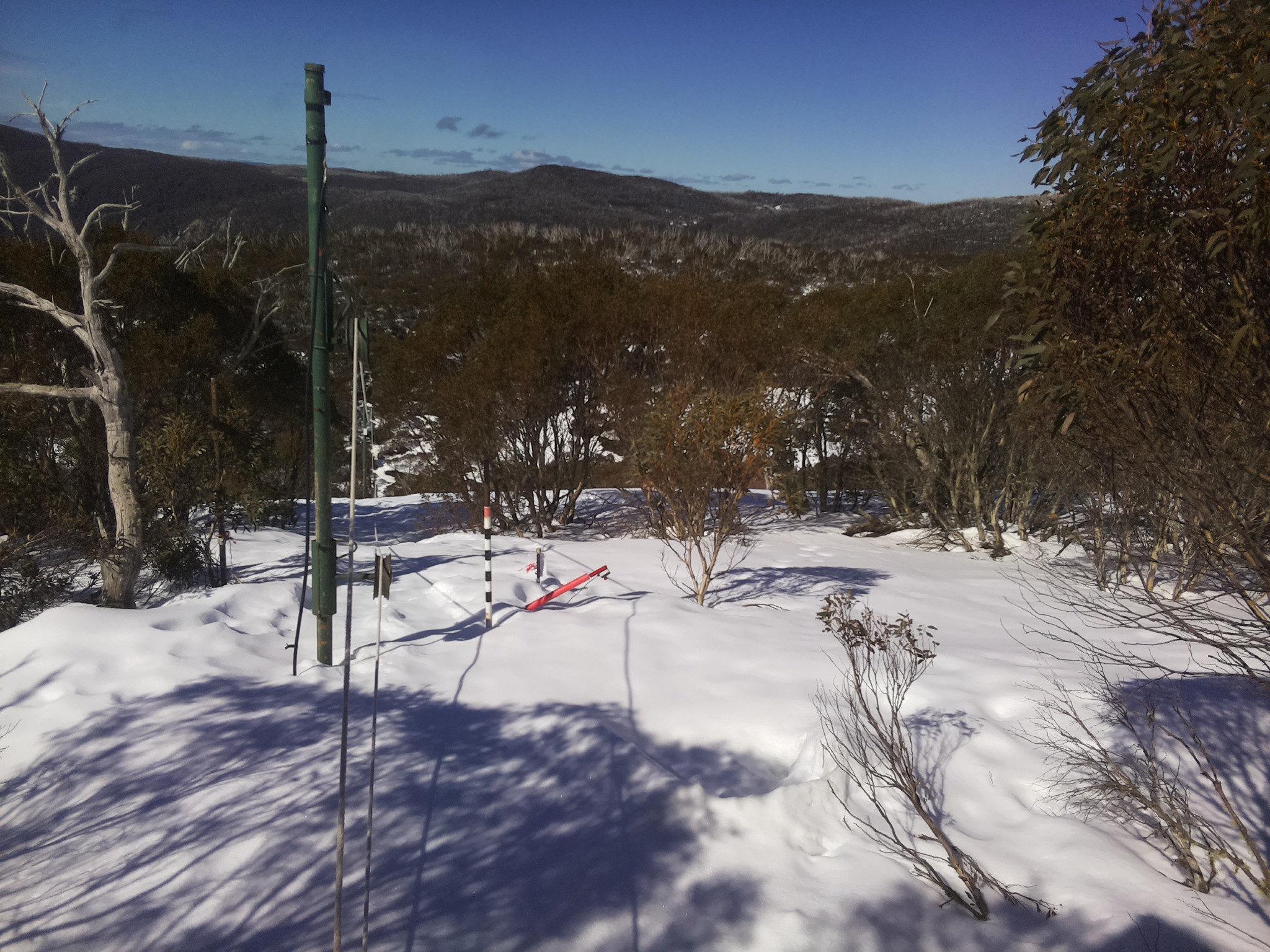 Bogong Web Cam 11:20am Thursday 21st of August 2025