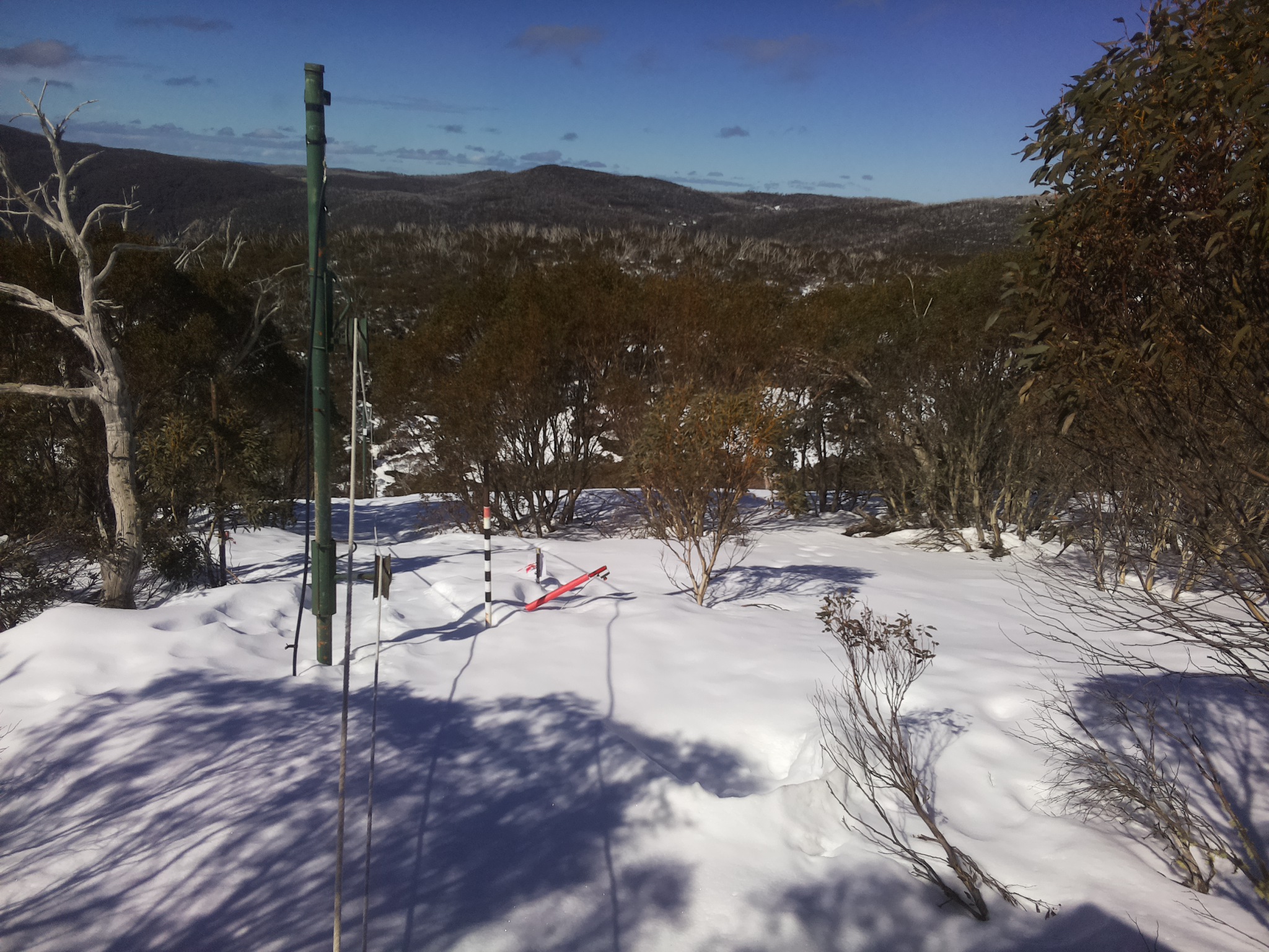 Bogong Web Cam 11:30am Thursday 21st of August 2025