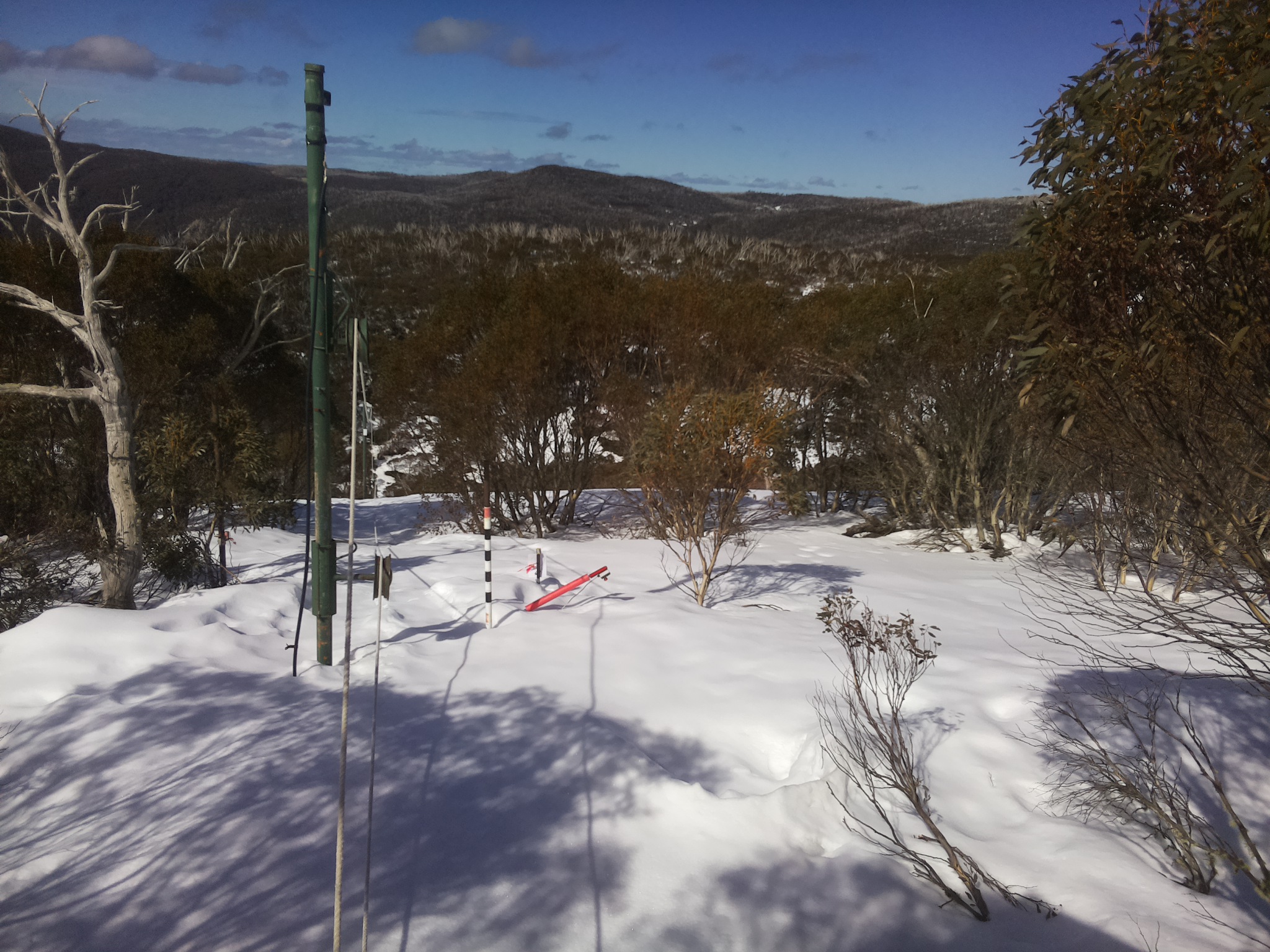 Bogong Web Cam 11:40am Thursday 21st of August 2025