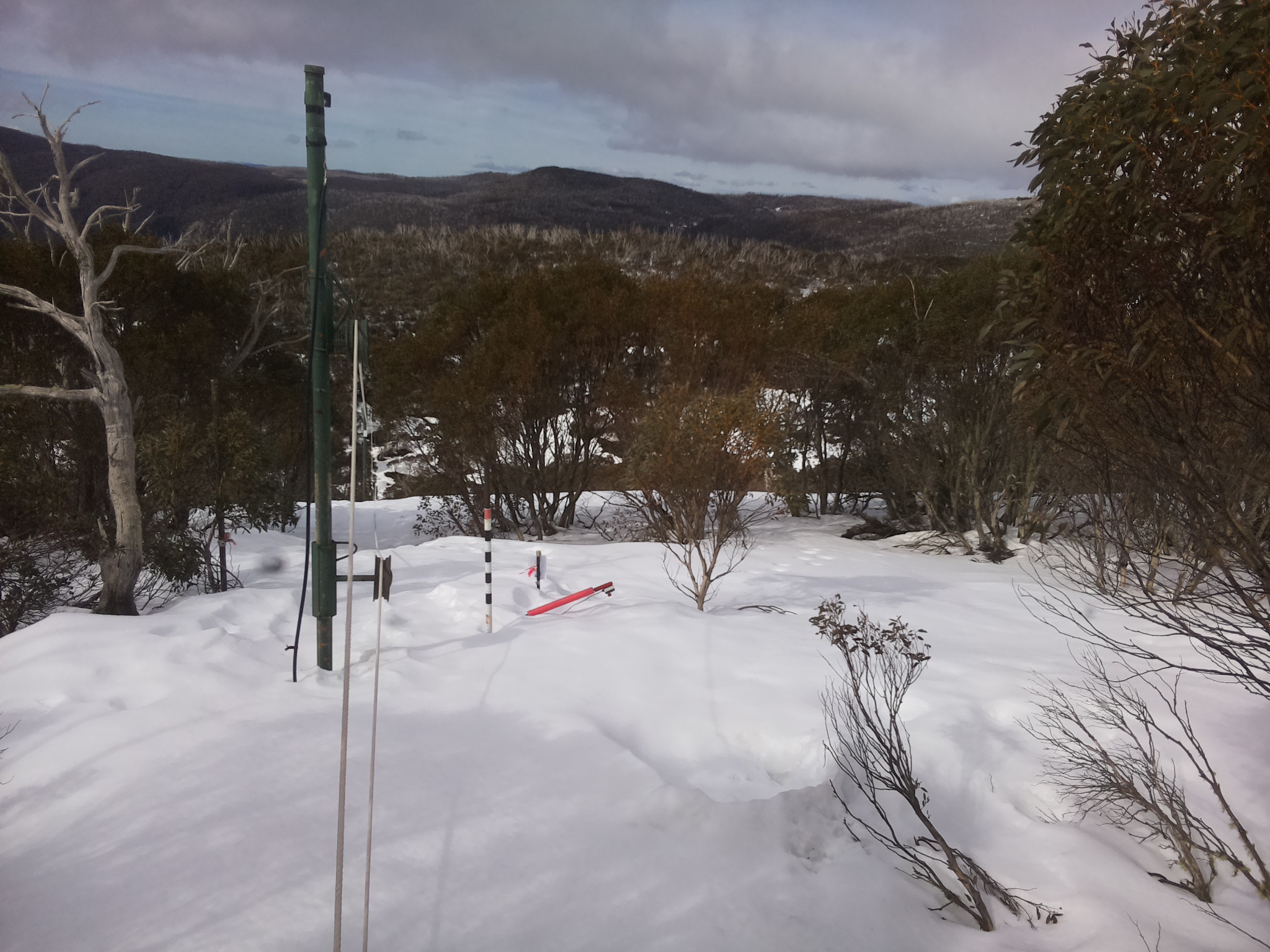Bogong Web Cam 10:40am Friday 22nd of August 2025