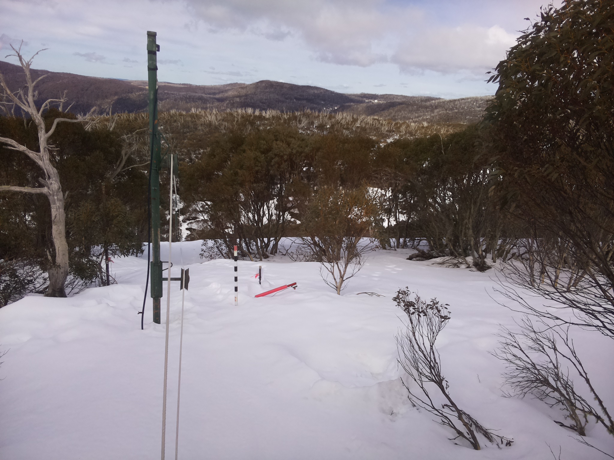Bogong Web Cam 11:50am Friday 22nd of August 2025