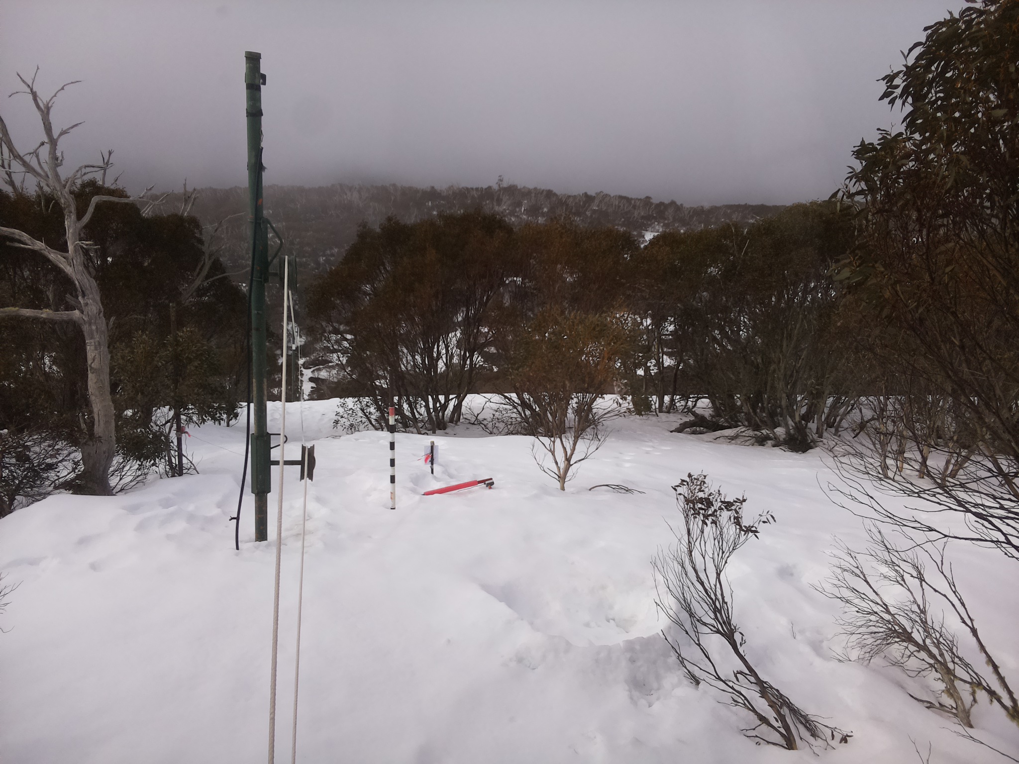 Bogong Web Cam 9:20am Sunday 24th of August 2025