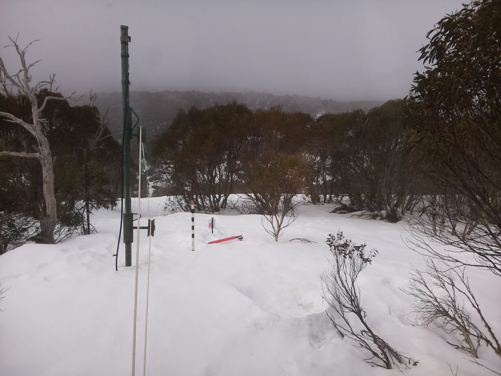 Bogong Web Cam 9:30am Sunday 24th of August 2025