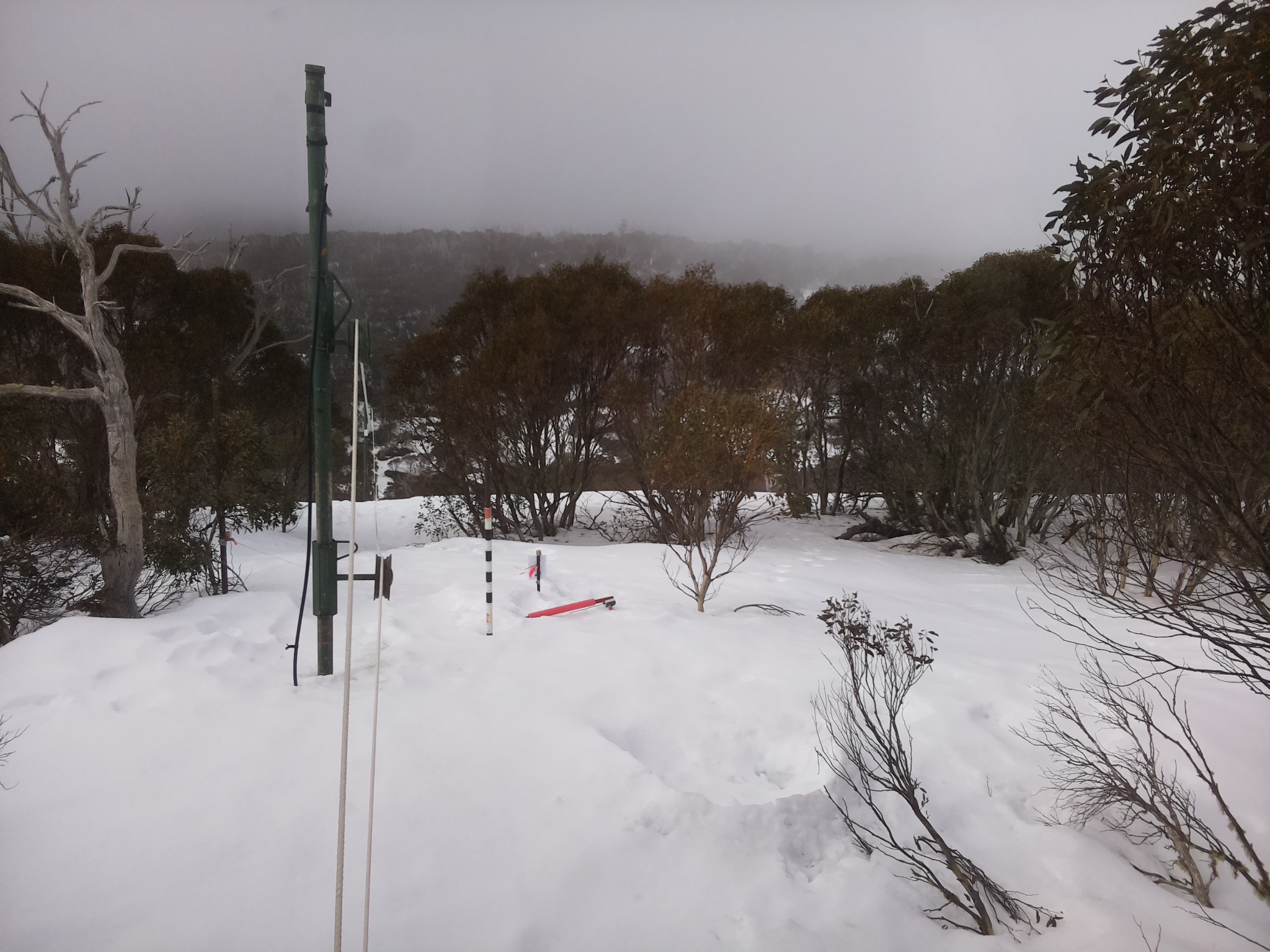 Bogong Web Cam 9:50am Sunday 24th of August 2025