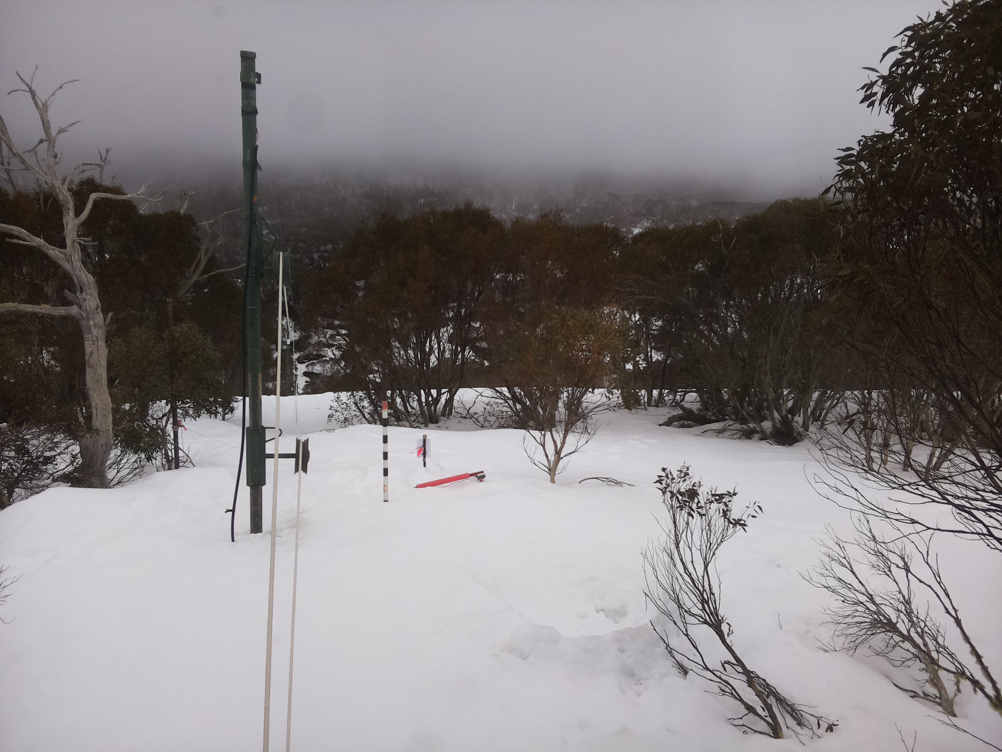 Bogong Web Cam 10:40am Sunday 24th of August 2025
