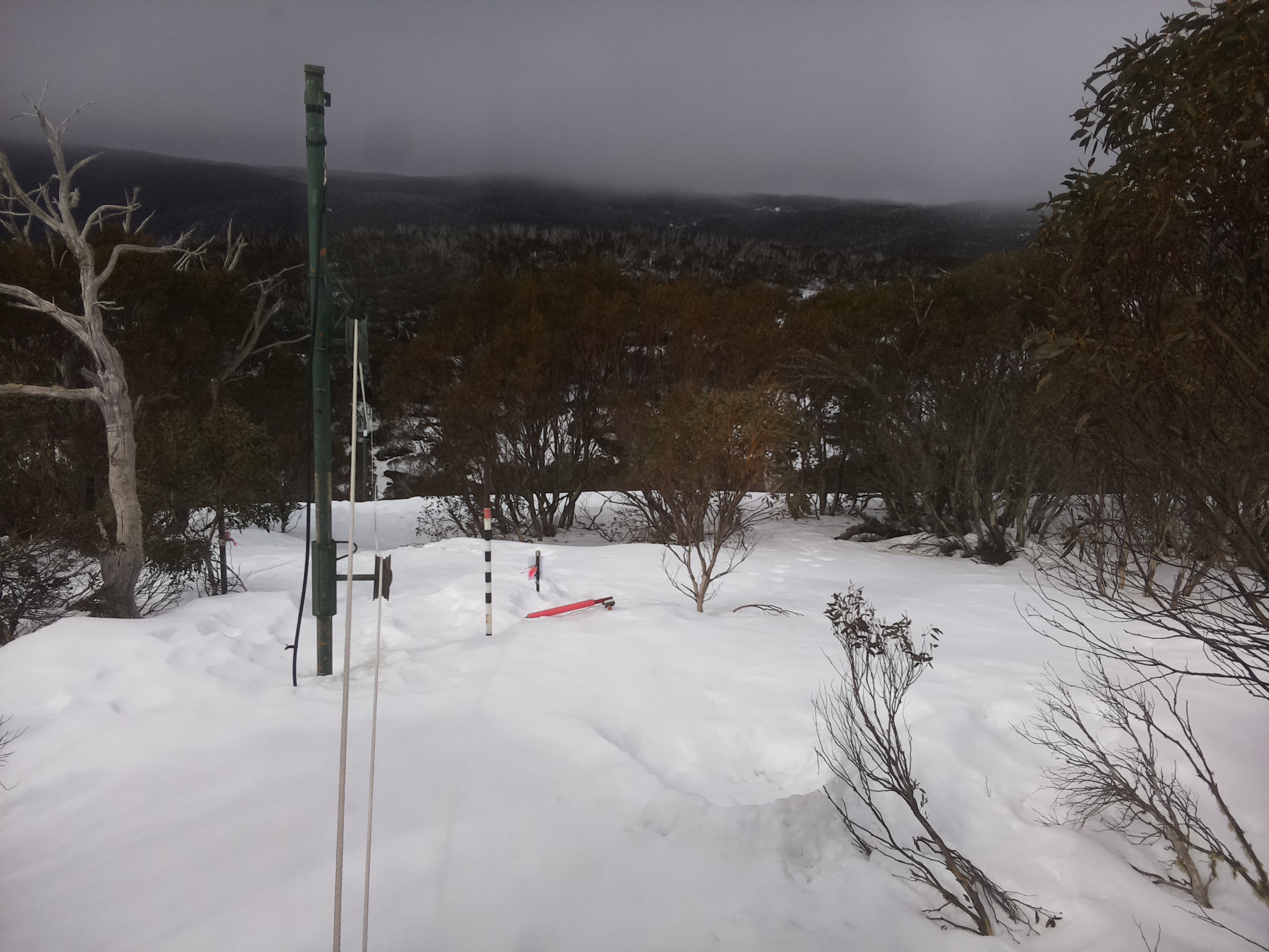 Bogong Web Cam 10:50am Sunday 24th of August 2025