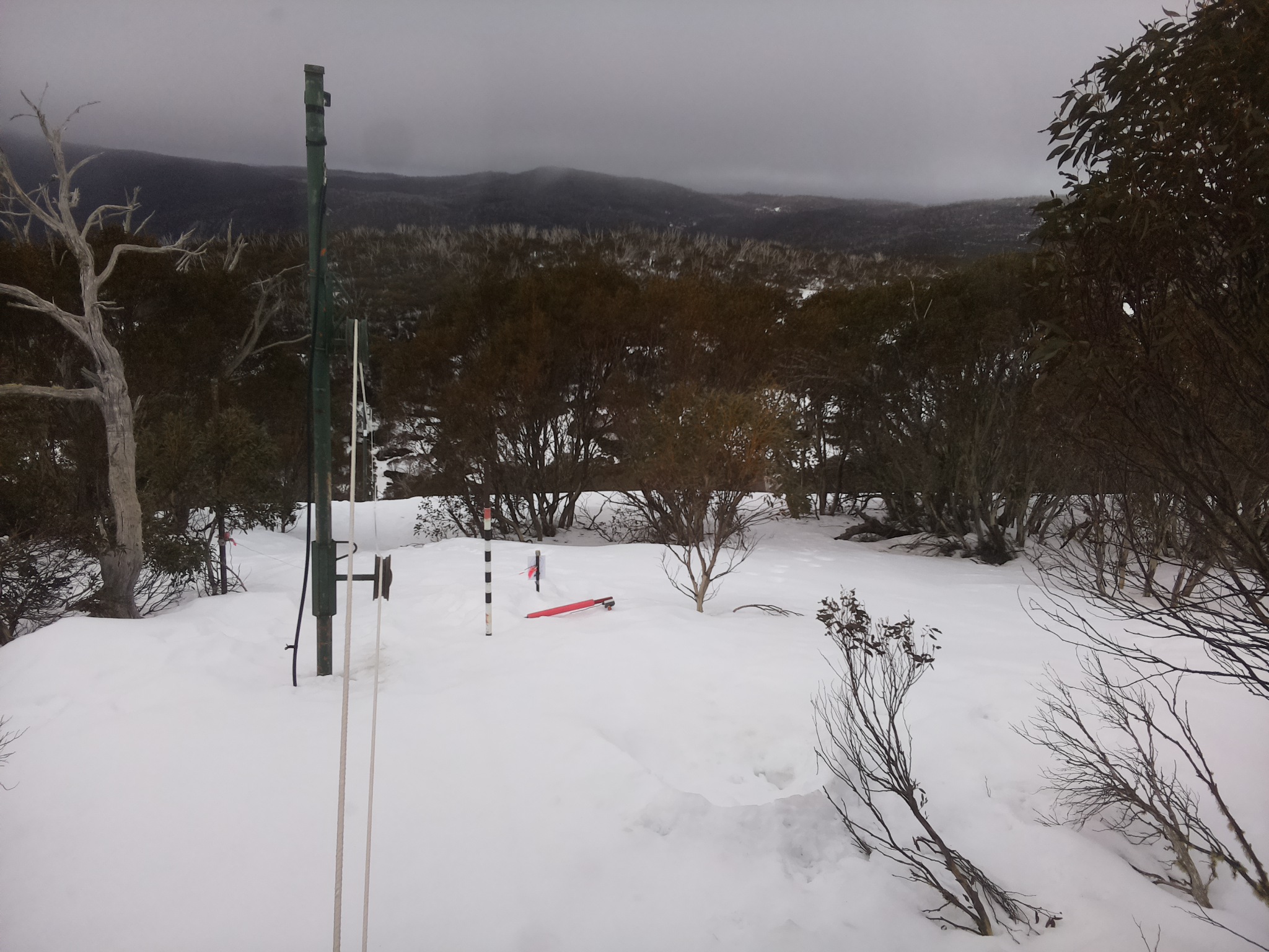 Bogong Web Cam 11:00am Sunday 24th of August 2025