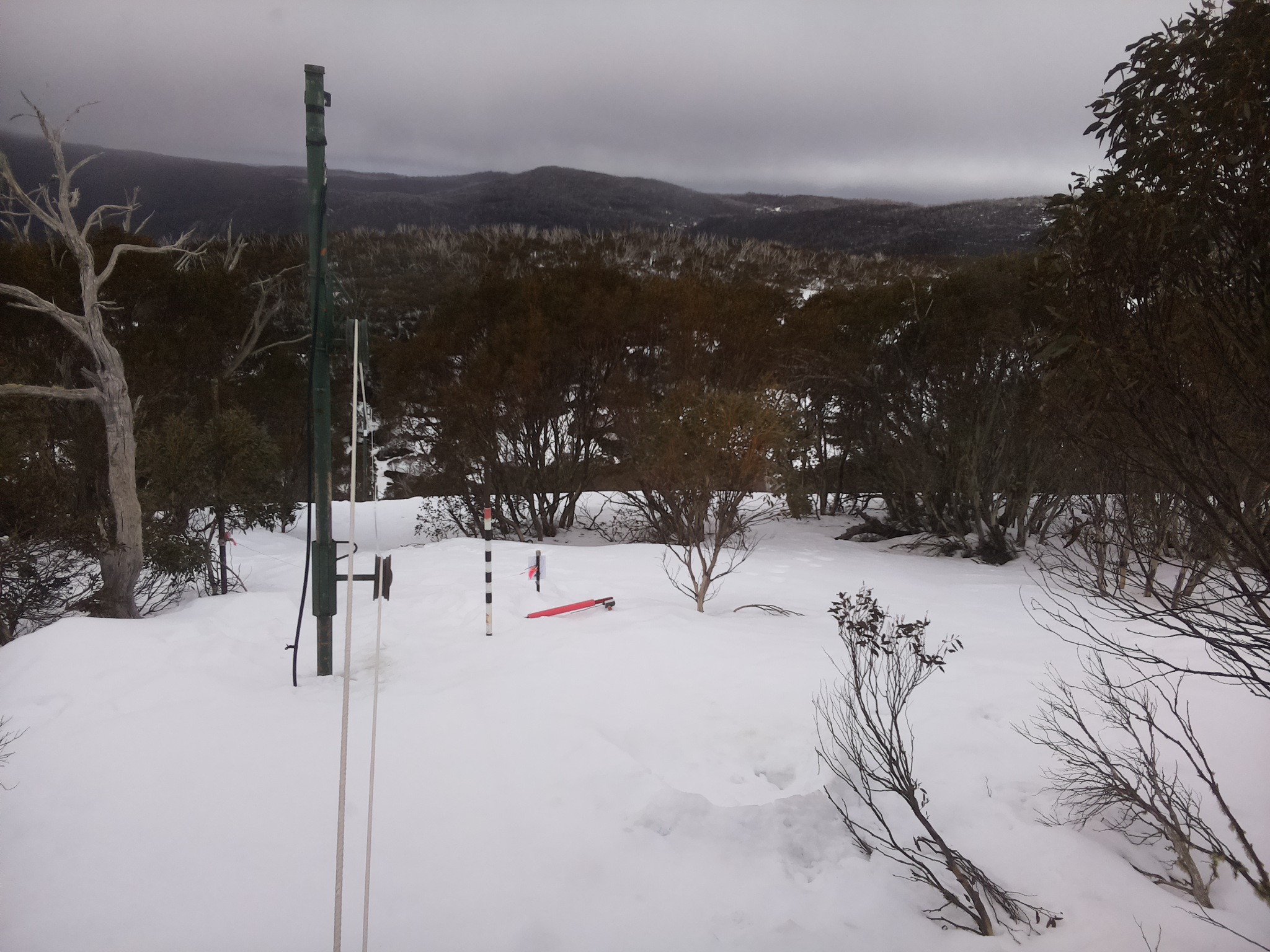 Bogong Web Cam 11:10am Sunday 24th of August 2025