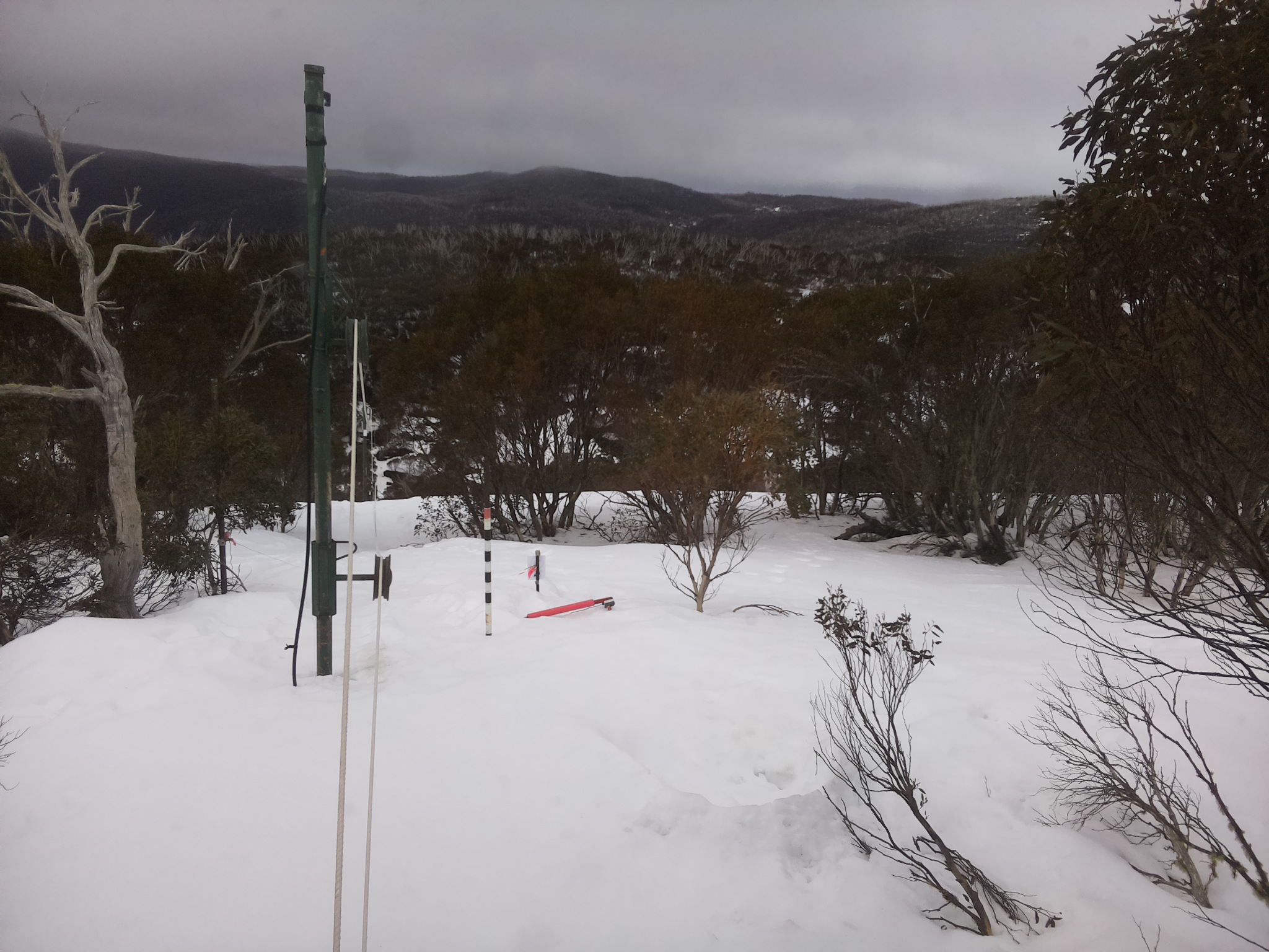Bogong Web Cam 11:20am Sunday 24th of August 2025