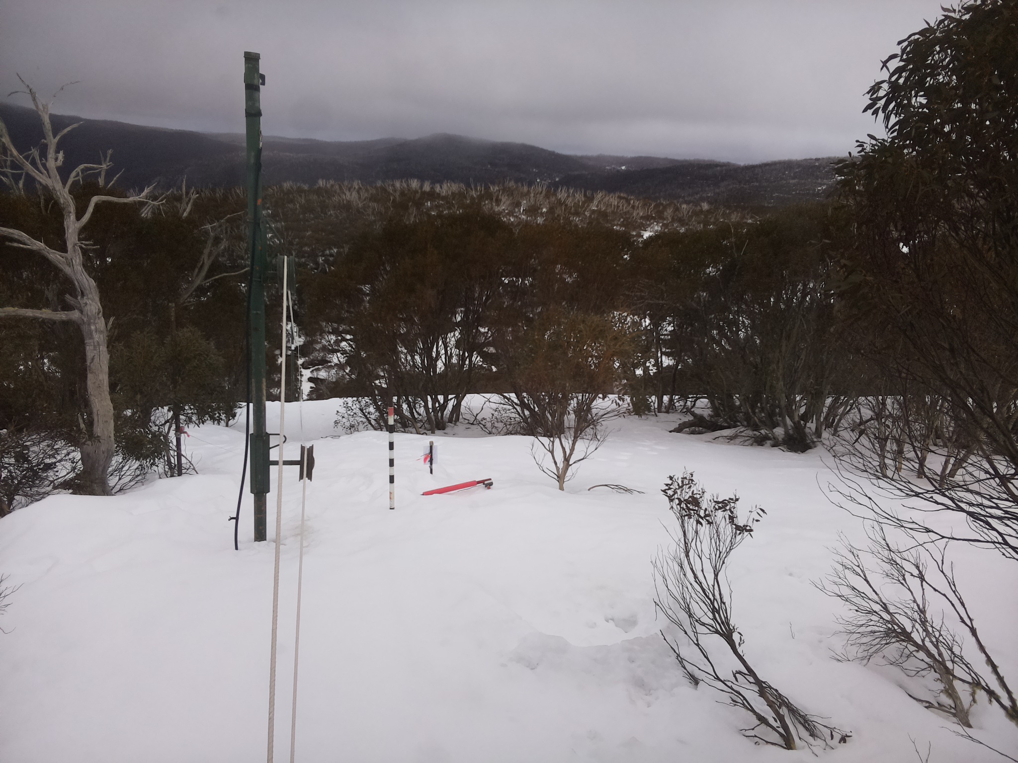 Bogong Web Cam 11:30am Sunday 24th of August 2025