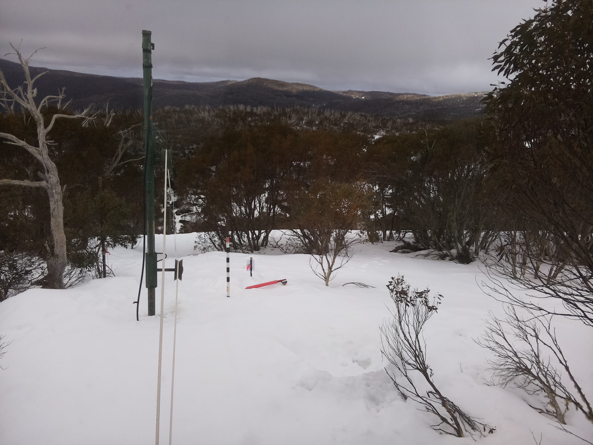Bogong Web Cam 11:40am Sunday 24th of August 2025