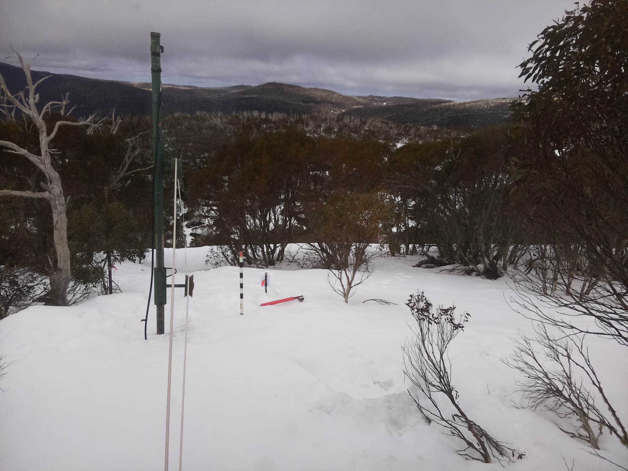 Bogong Web Cam 11:50am Sunday 24th of August 2025