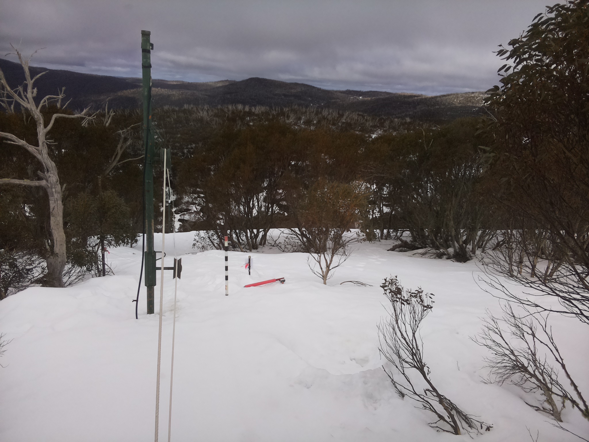 Bogong Web Cam 12:00pm Sunday 24th of August 2025