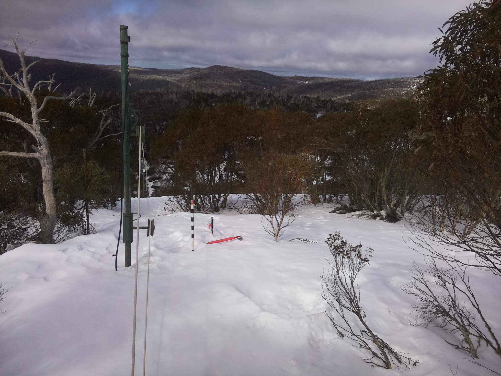 Bogong Web Cam 12:20pm Sunday 24th of August 2025