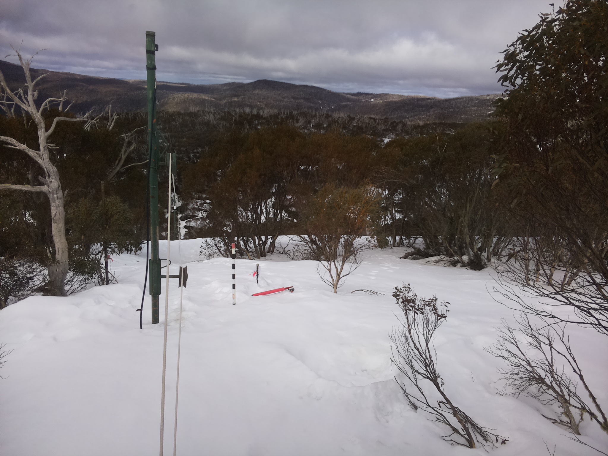 Bogong Web Cam 12:40pm Sunday 24th of August 2025