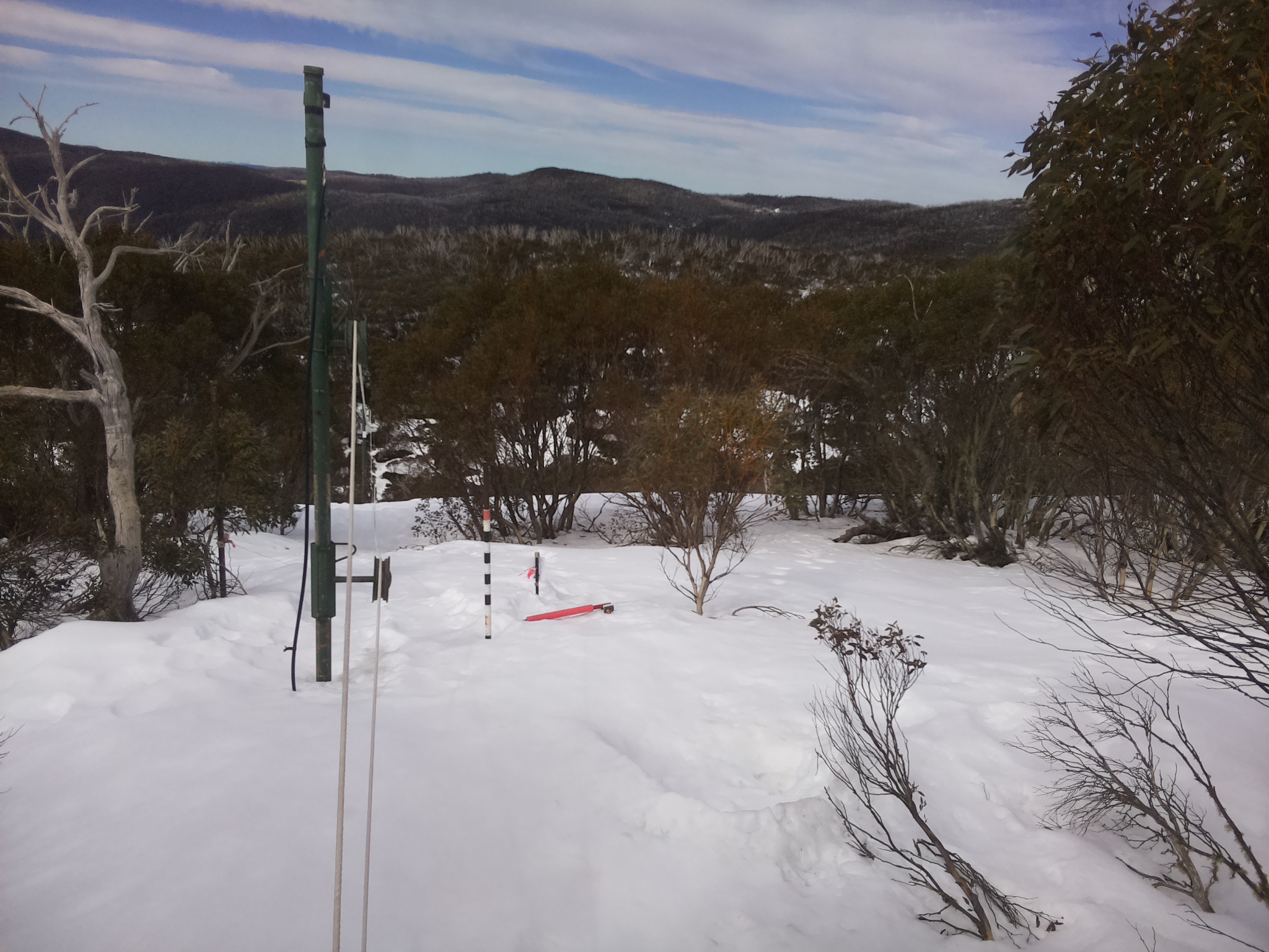 Bogong Web Cam 11:40am Monday 25th of August 2025