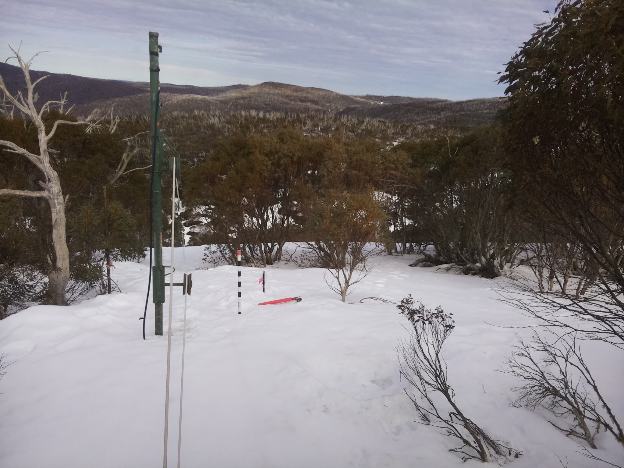 Bogong Web Cam 2:40pm Monday 25th of August 2025