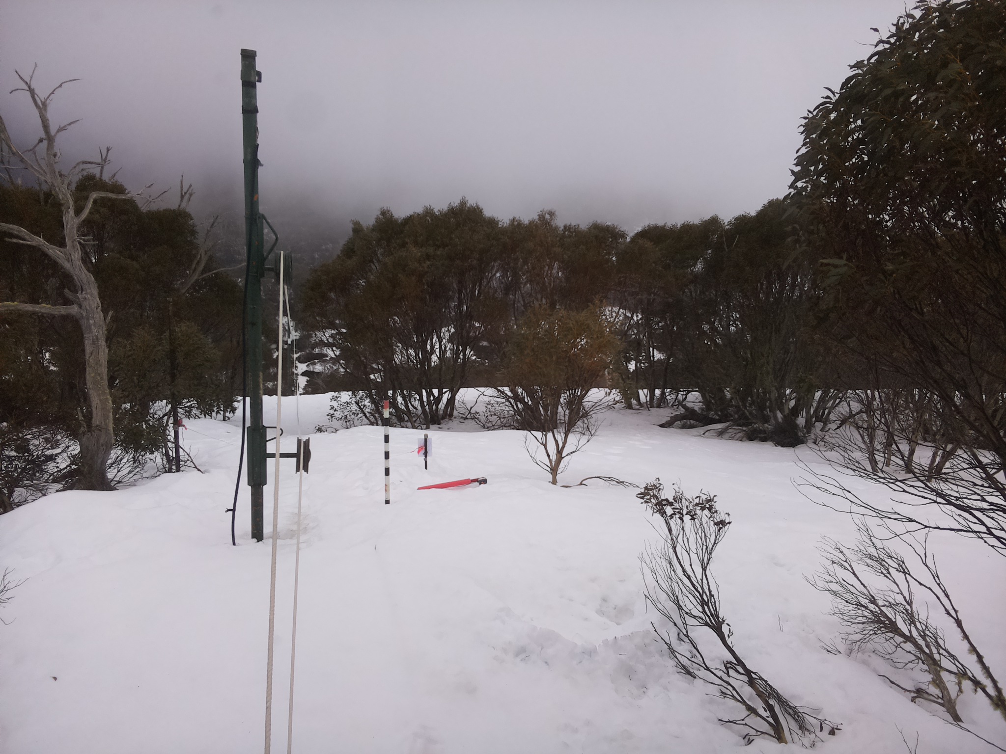 Bogong Web Cam 8:00am Tuesday 26th of August 2025