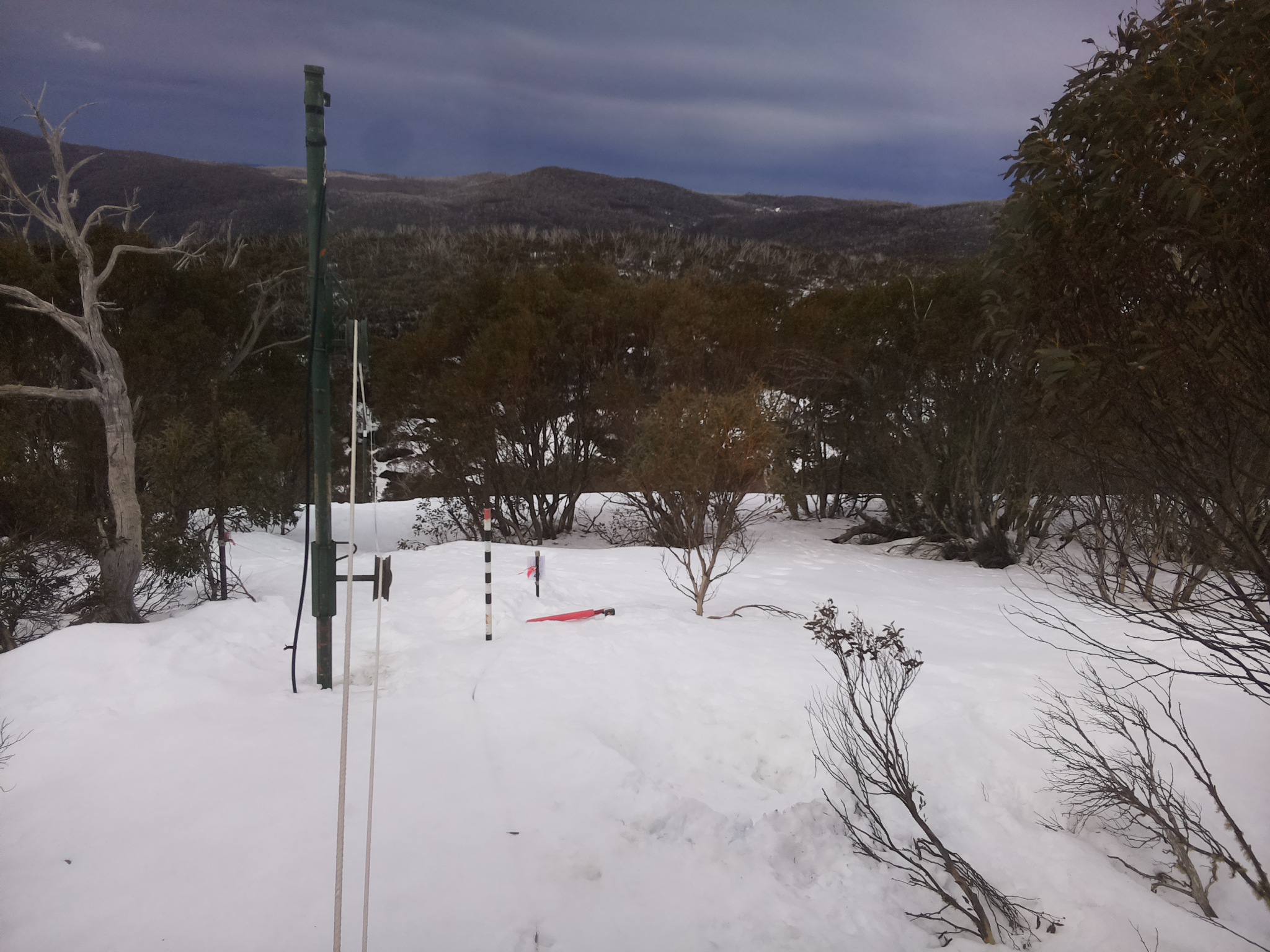 Bogong Web Cam 11:10am Tuesday 26th of August 2025