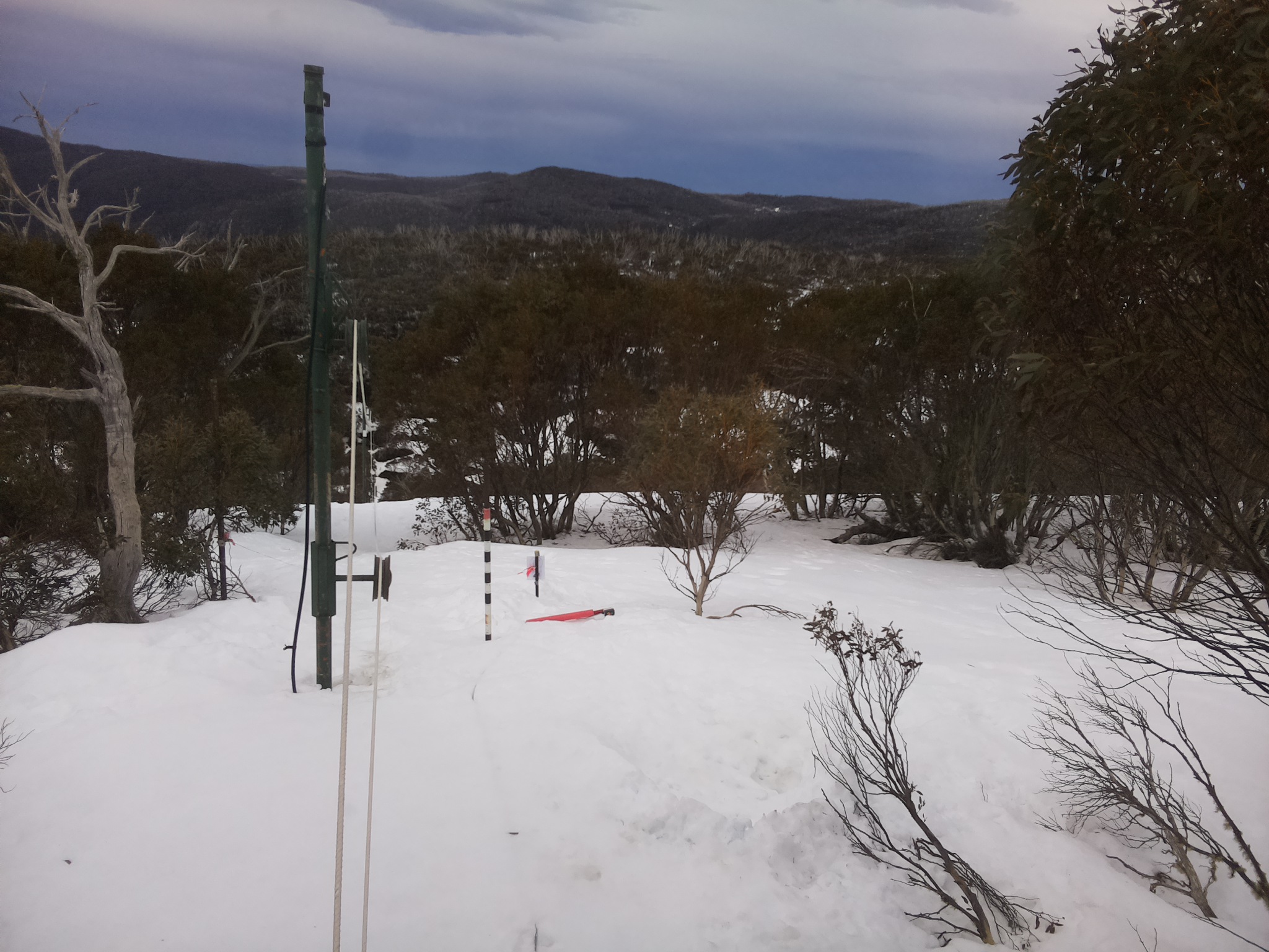 Bogong Web Cam 11:30am Tuesday 26th of August 2025