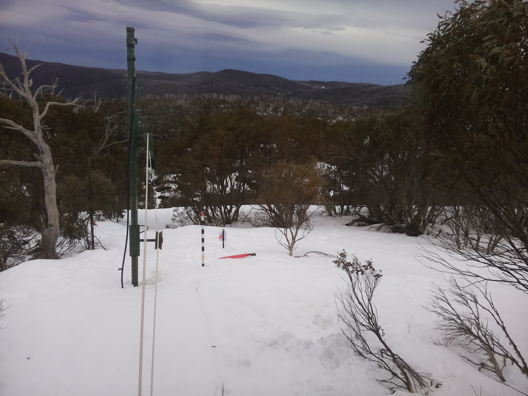 Bogong Web Cam 11:40am Tuesday 26th of August 2025