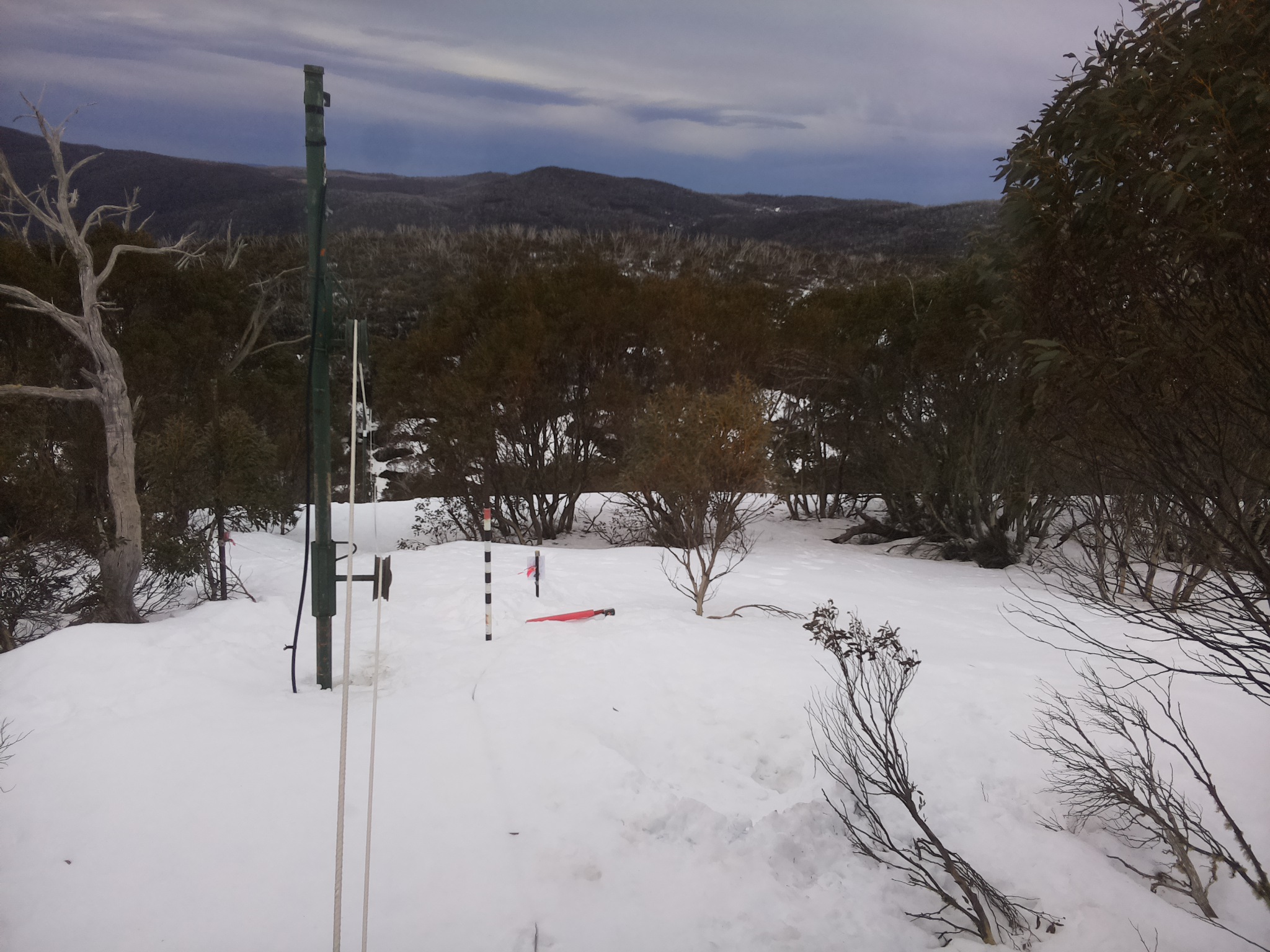 Bogong Web Cam 11:50am Tuesday 26th of August 2025